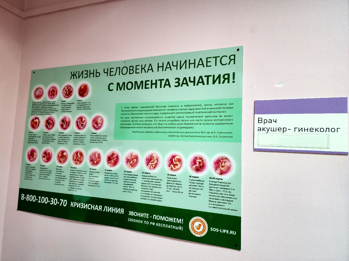 рождение ребенка, школа мам,  медицина, роды в подмосковье, психолог,