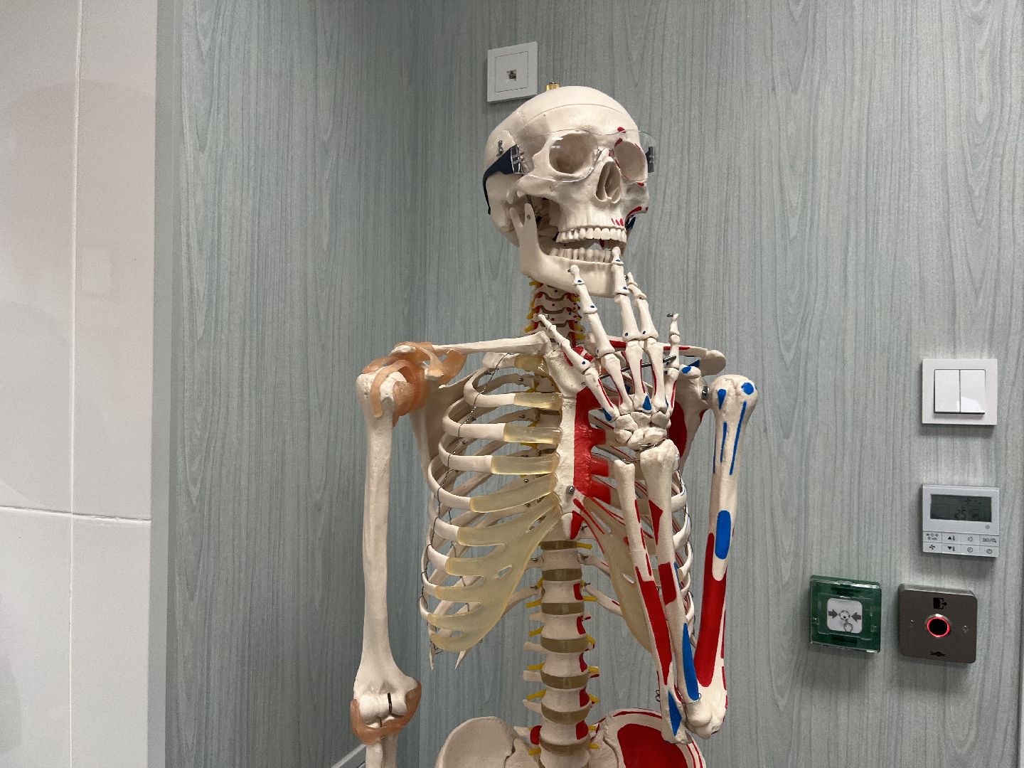 красногорск, медицина, рошаль,