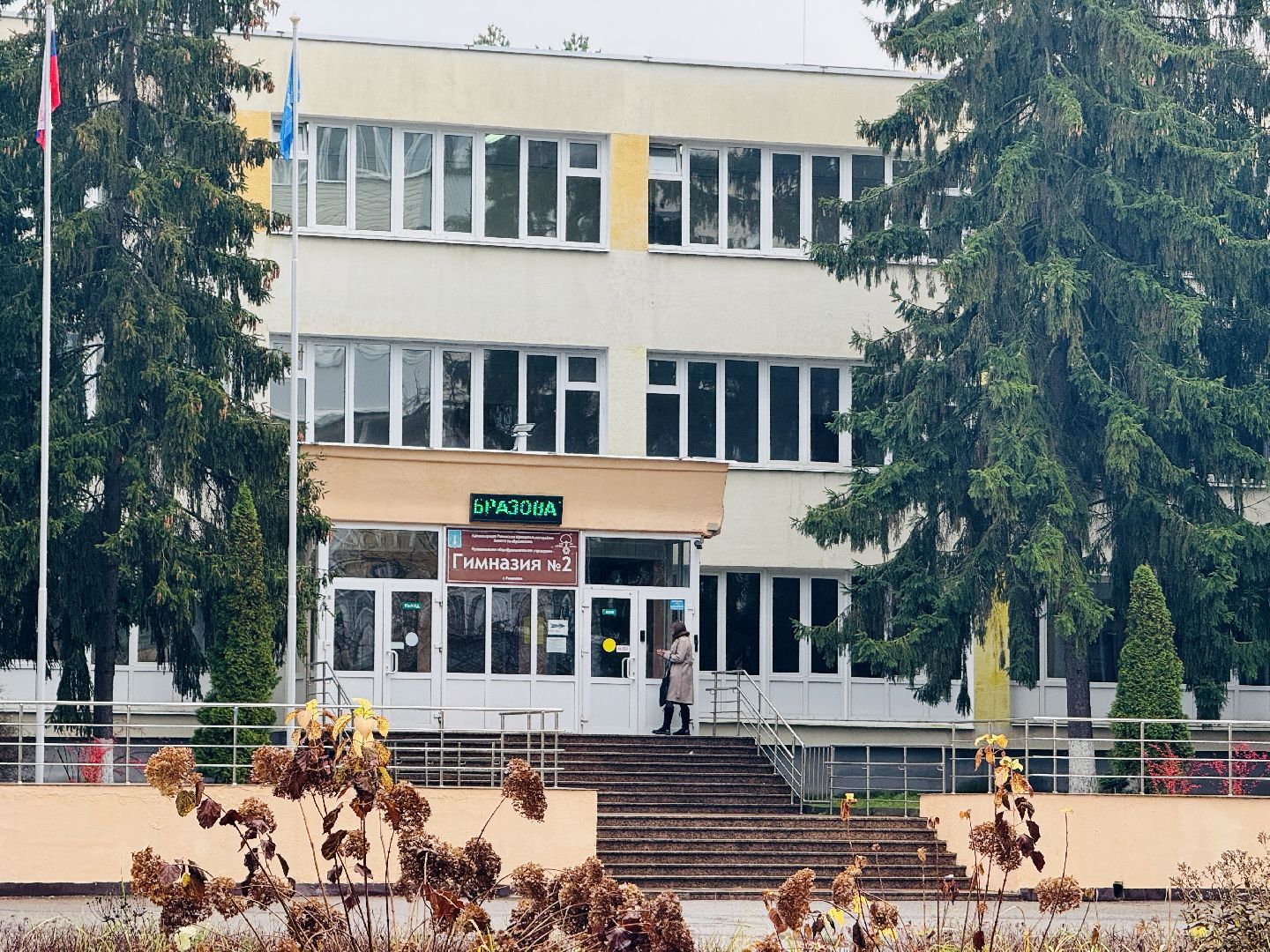 раменское, день психолога, раменская гимназия 2, образование,