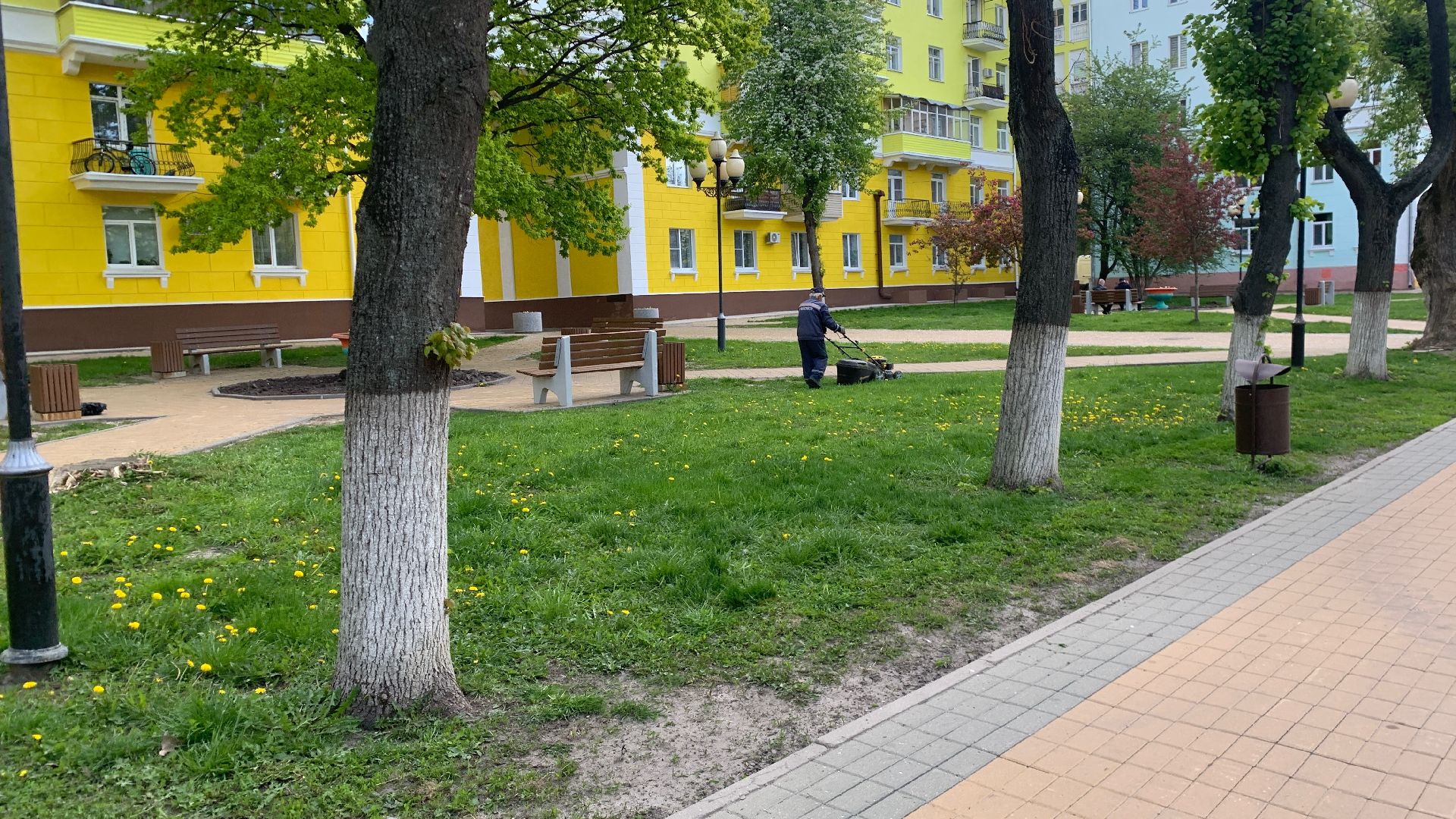 Ступино, газоны, благоустройство