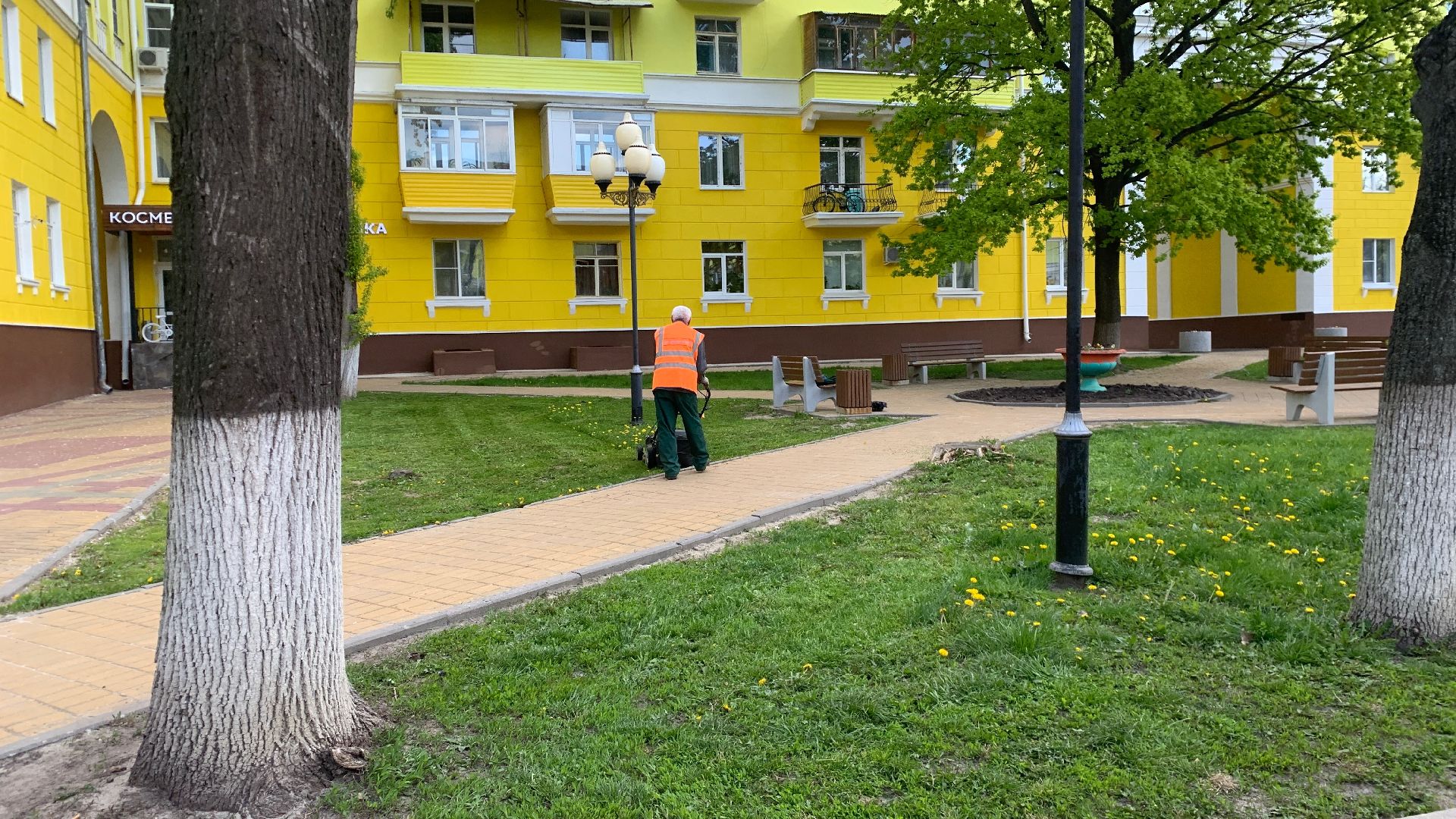 Ступино, газоны, благоустройство