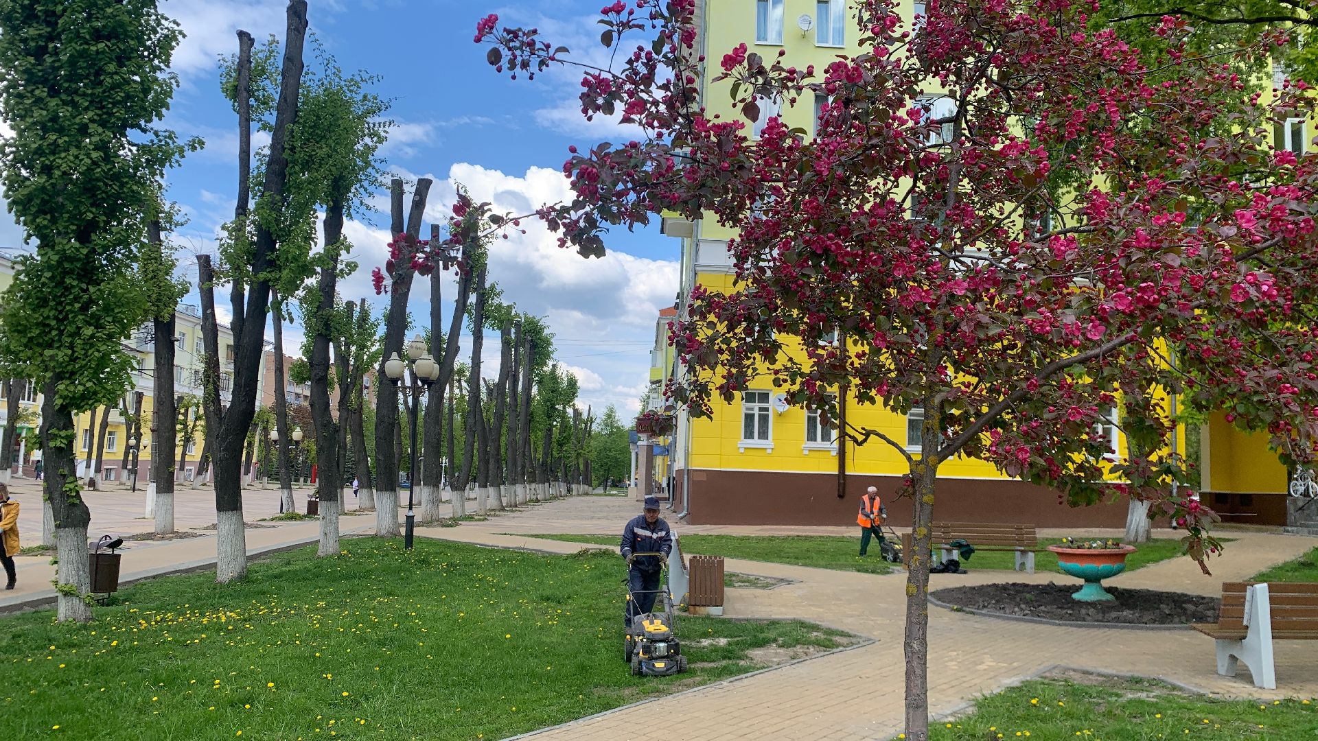 Ступино, газоны, благоустройство