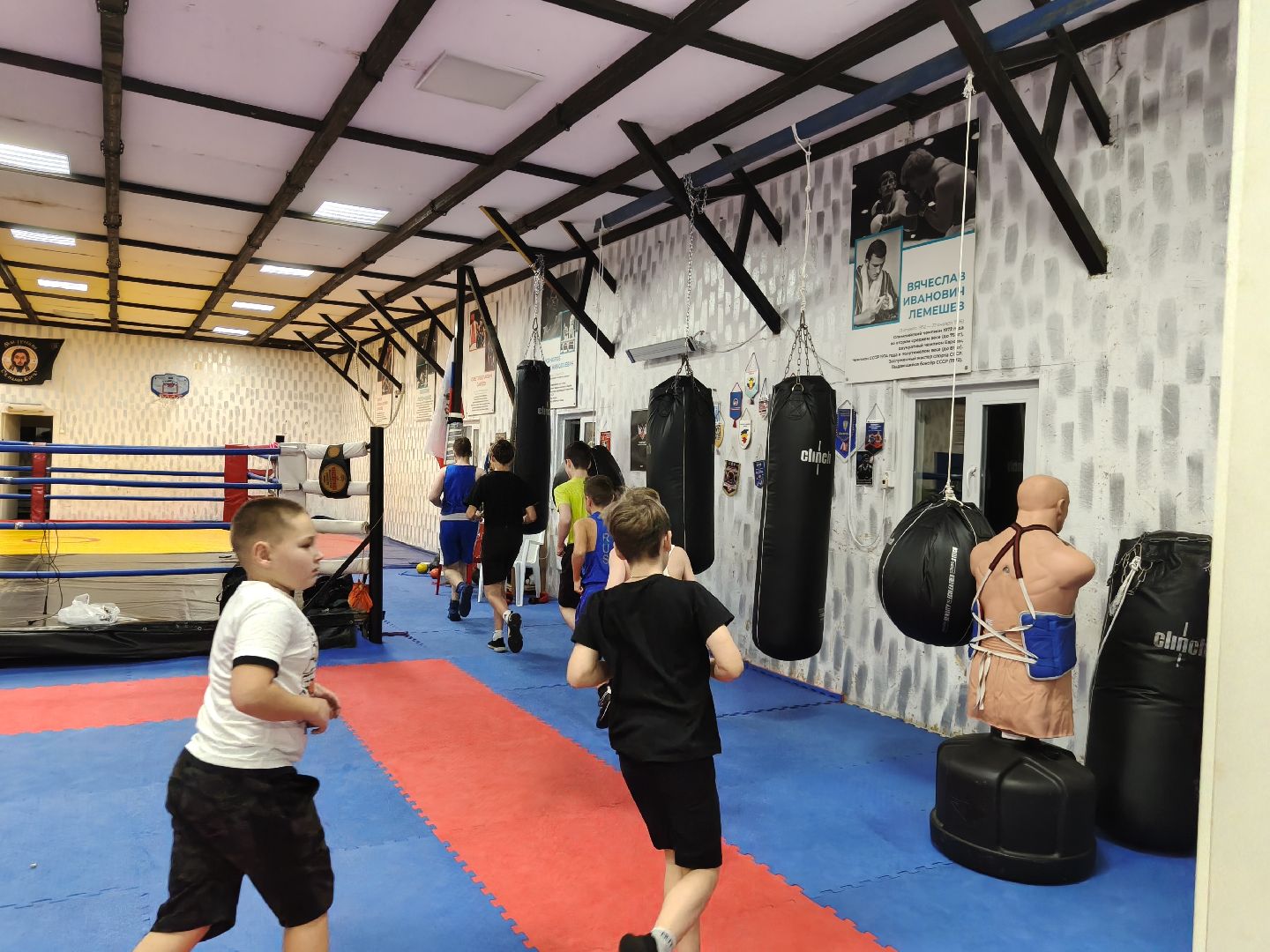 день тренера, одинцовский округ, бокс для всех, физкультура,