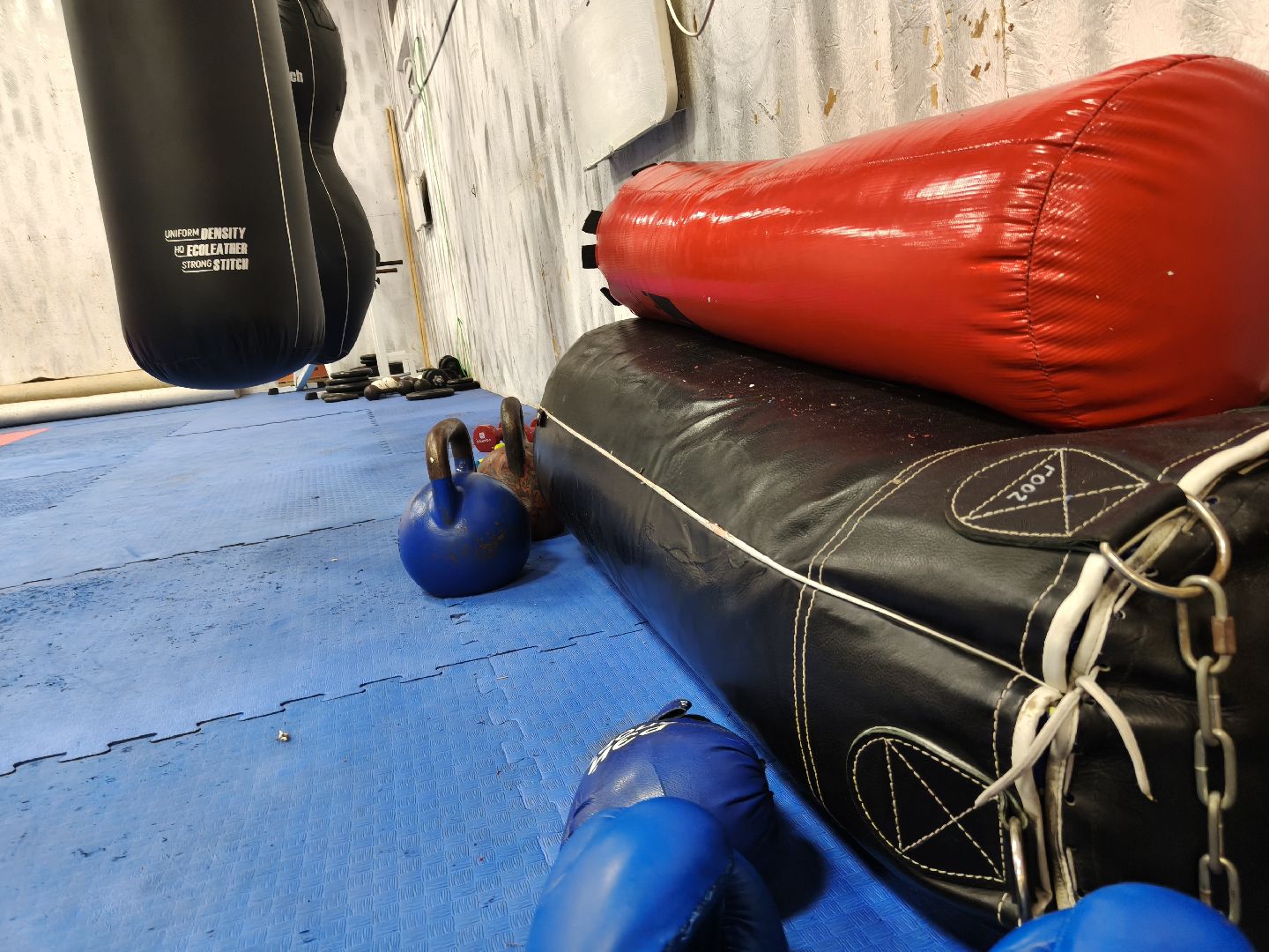 день тренера, одинцовский округ, бокс для всех, физкультура,