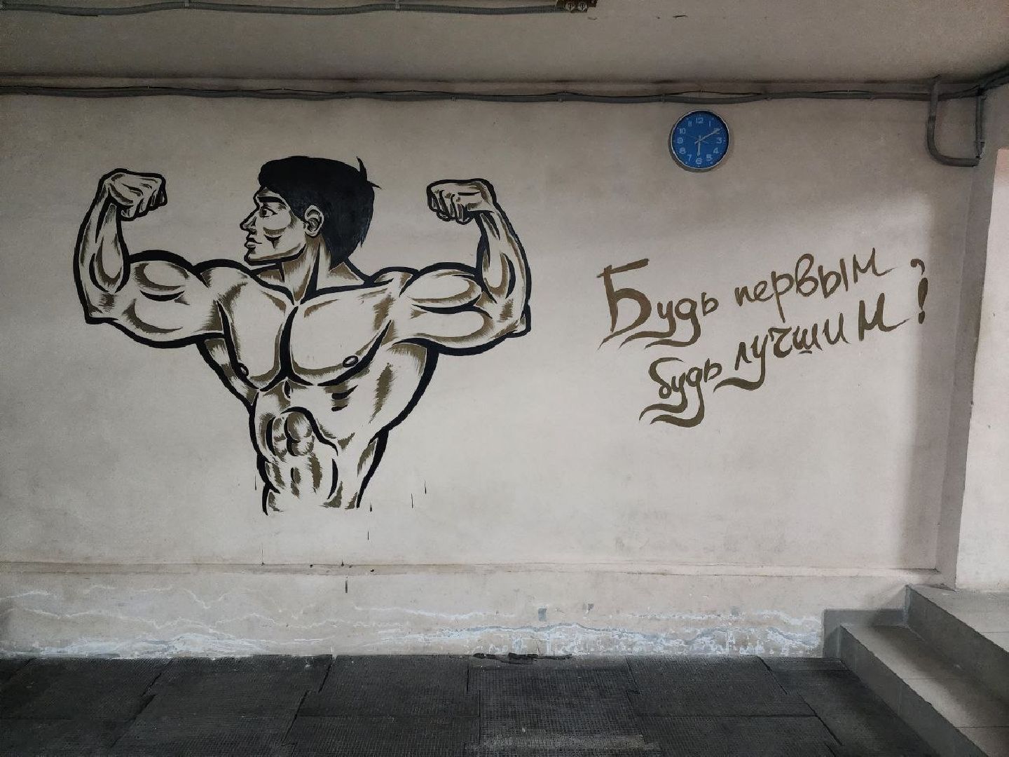 солнечногорск, спорт, чемпион,