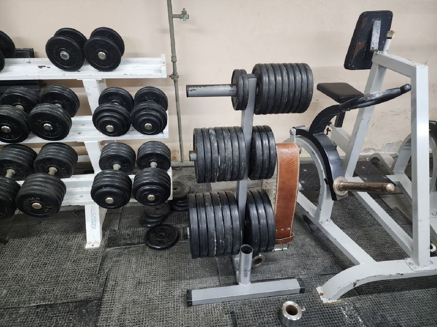 солнечногорск, спорт, чемпион,