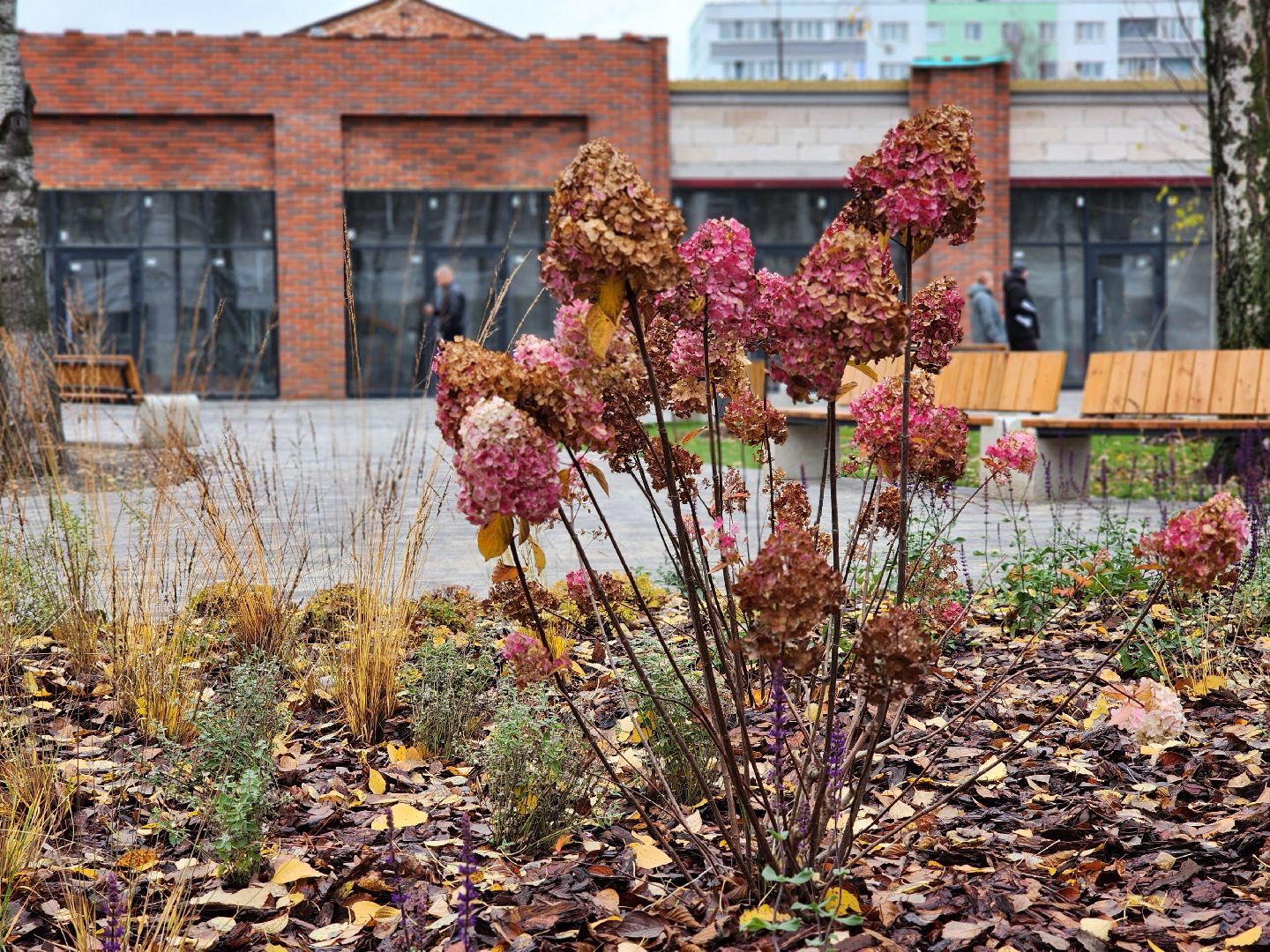 реконструкция, благоустройство, сквер, ногинск, богородский городской округ,
