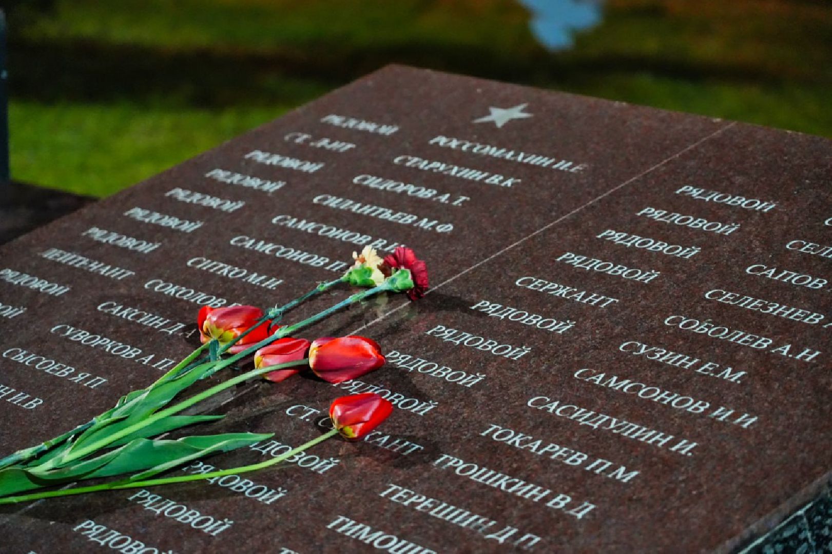 Сергиев Посад, Сергиево-Посадский городской округ, Свеча памяти, Волонтеры, МГЕР, Молодая Гвардия, Волонтеры Подмосковья, Память, Акция, День Победы, 9 мая