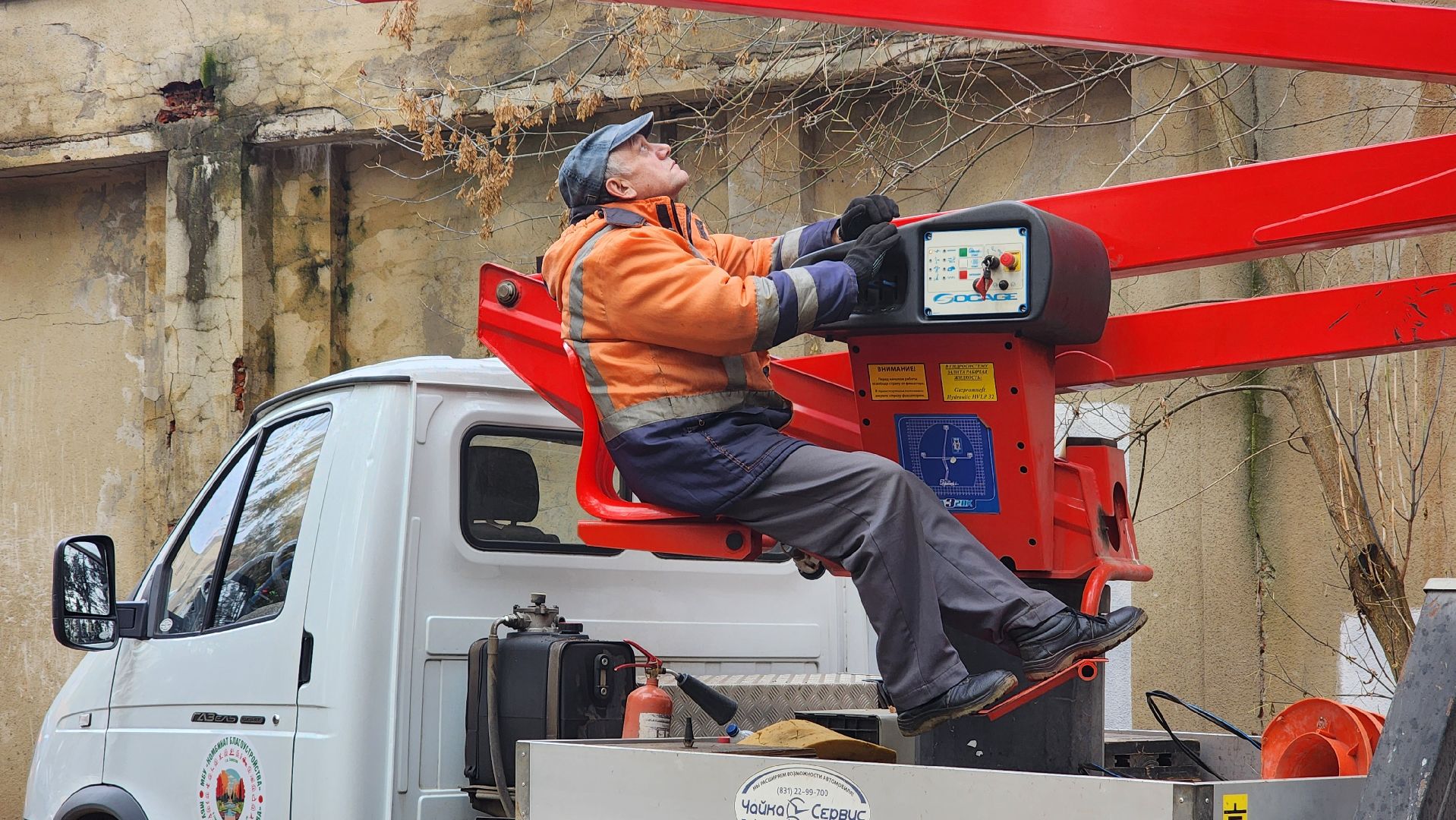 протвино, аварийное дерево, комбинат благоустройства,