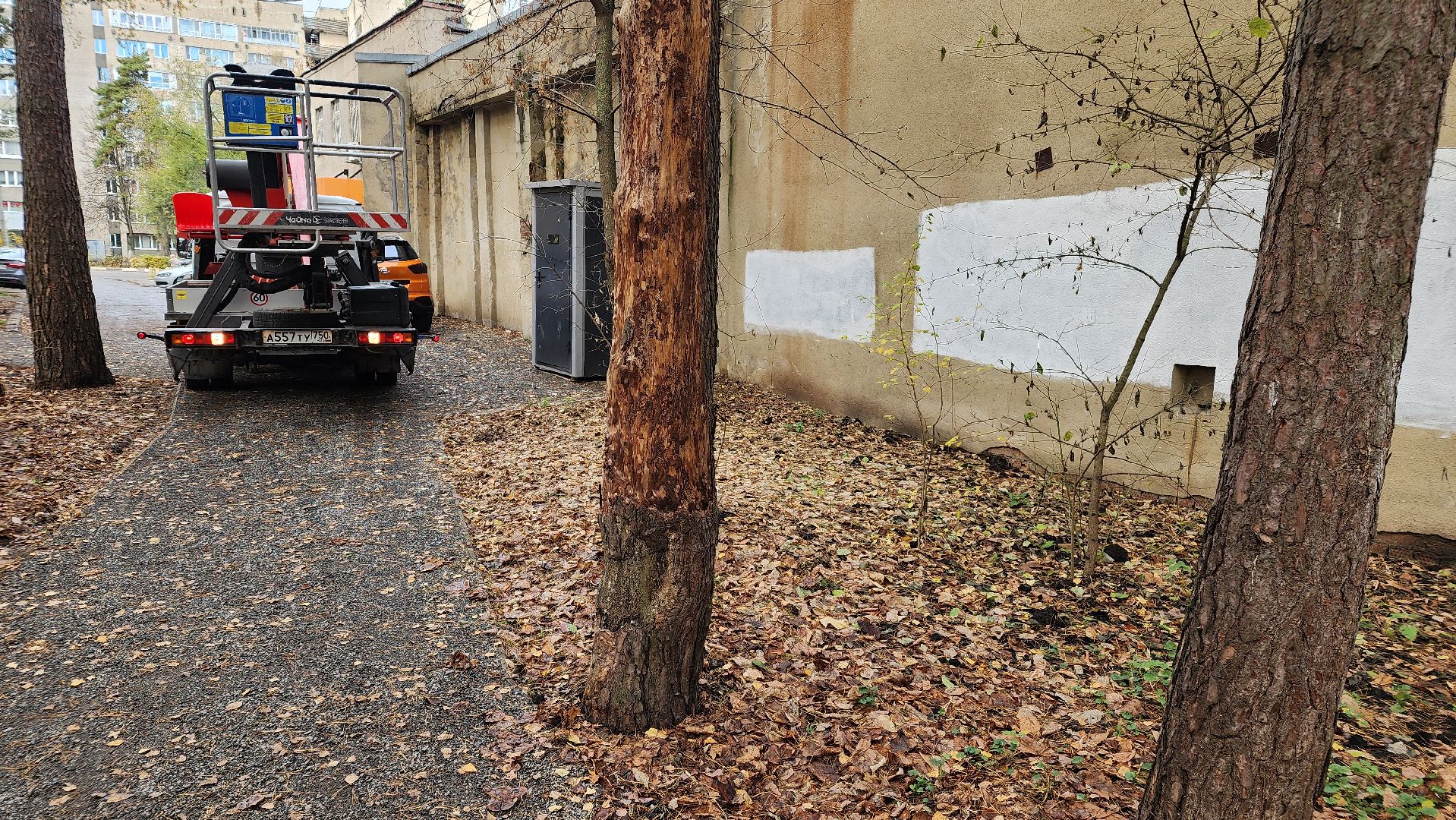протвино, аварийное дерево, комбинат благоустройства,