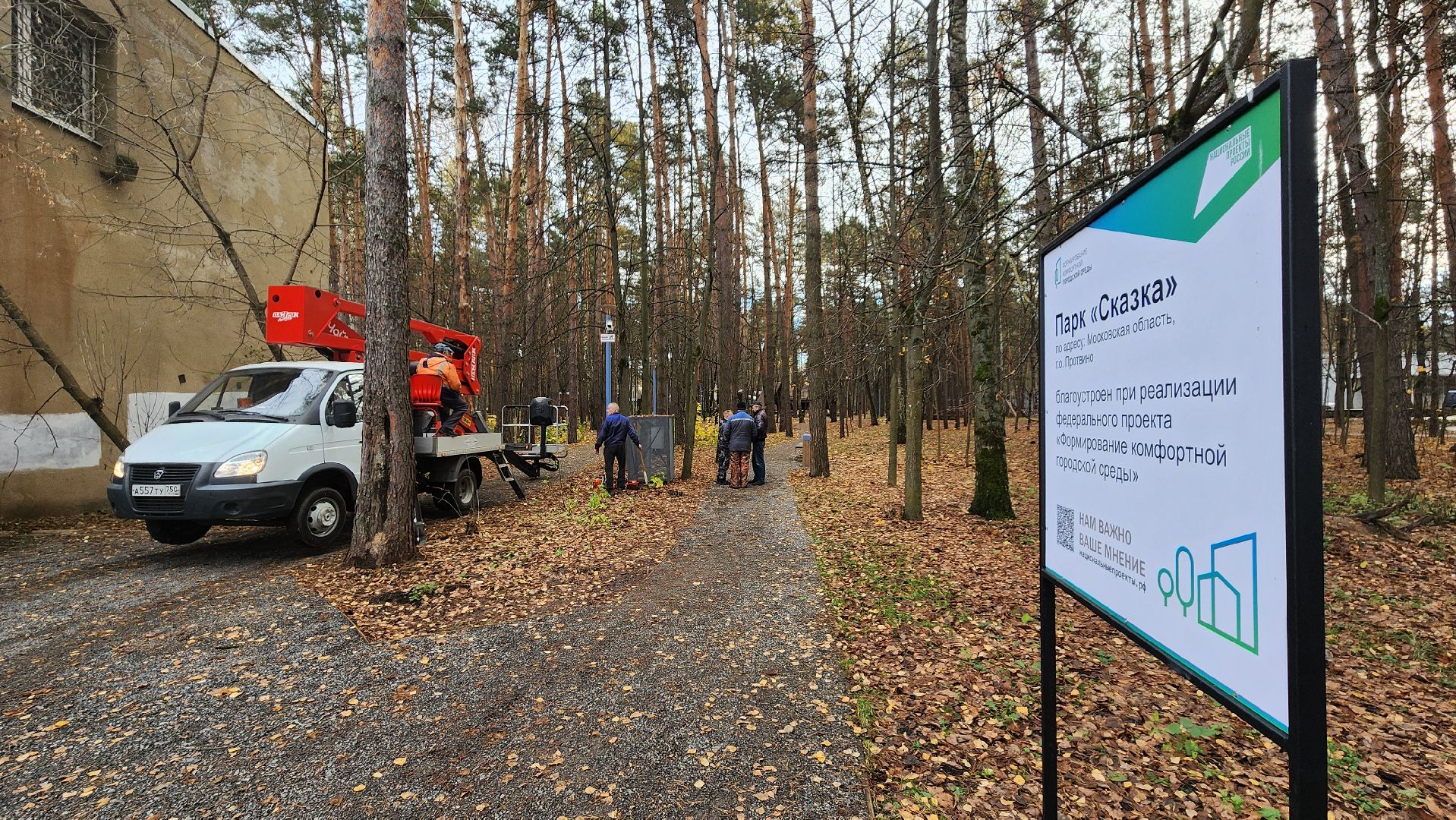 протвино, аварийное дерево, комбинат благоустройства,