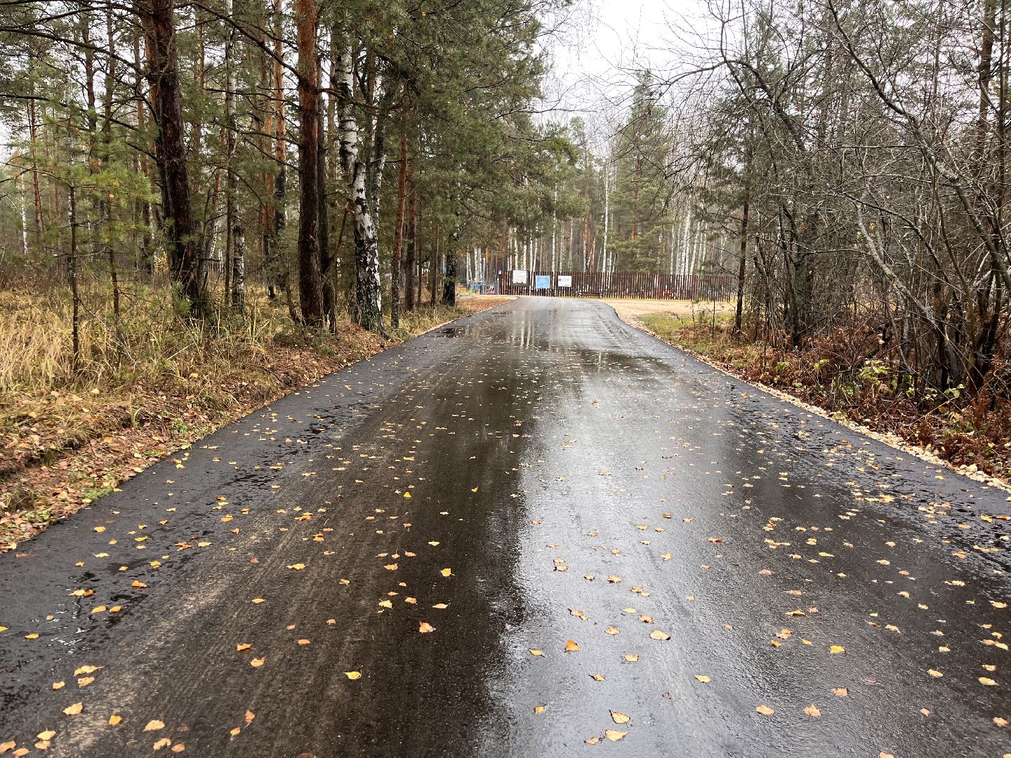 шатура, шатура дороги,