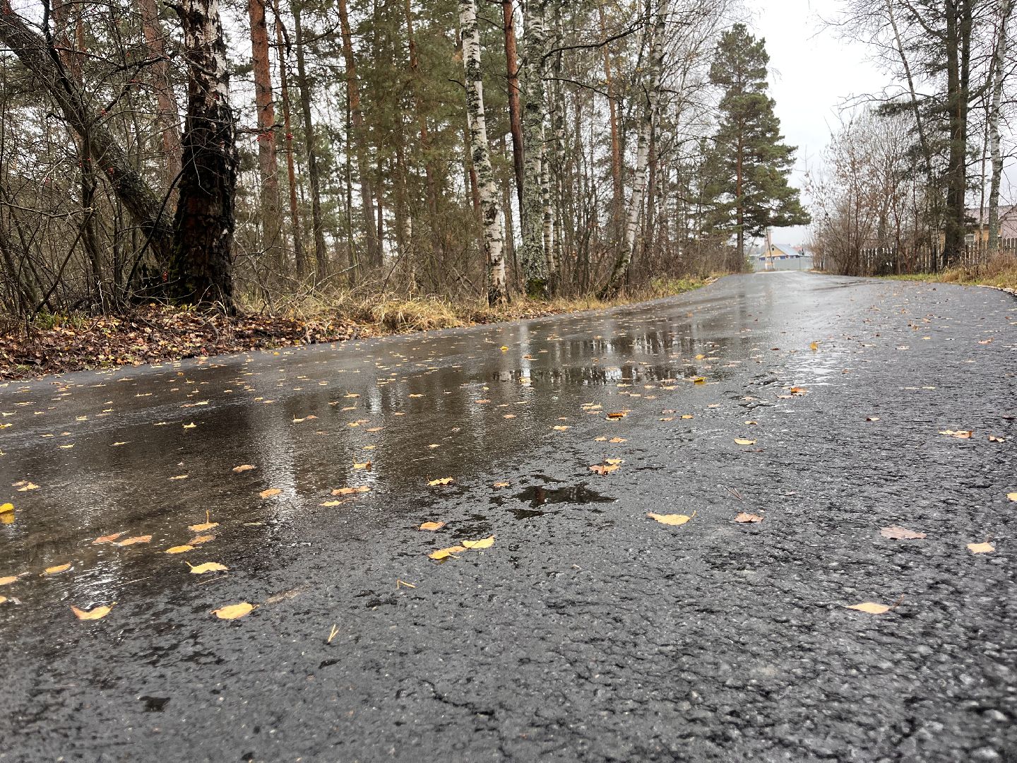 шатура, шатура дороги,