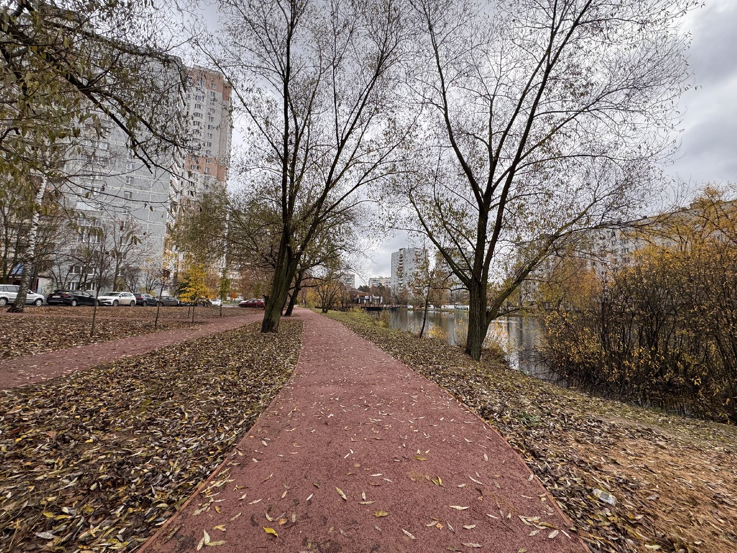 Комсомольский пруд, Хоккейная площадка, ЖК Союзный,