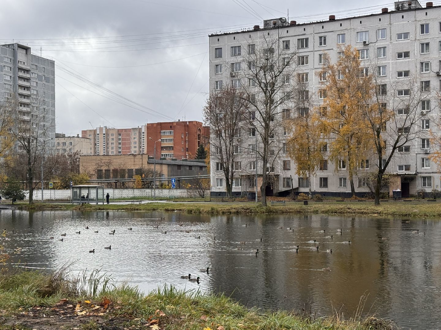 Комсомольский пруд, Хоккейная площадка, ЖК Союзный,