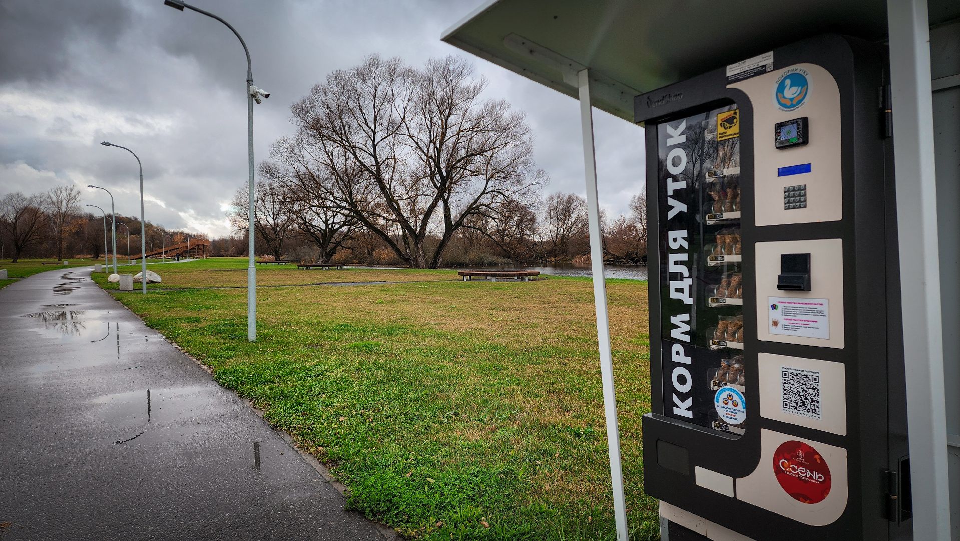 бронницы, парк бронницкий луг, выходные в парке, день народного единства в парке,