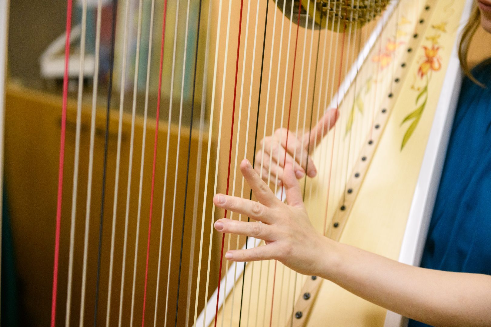 культура, образование, детская музыкальная школа, лыткарино, новый предмет, арфа, молодой педагог,