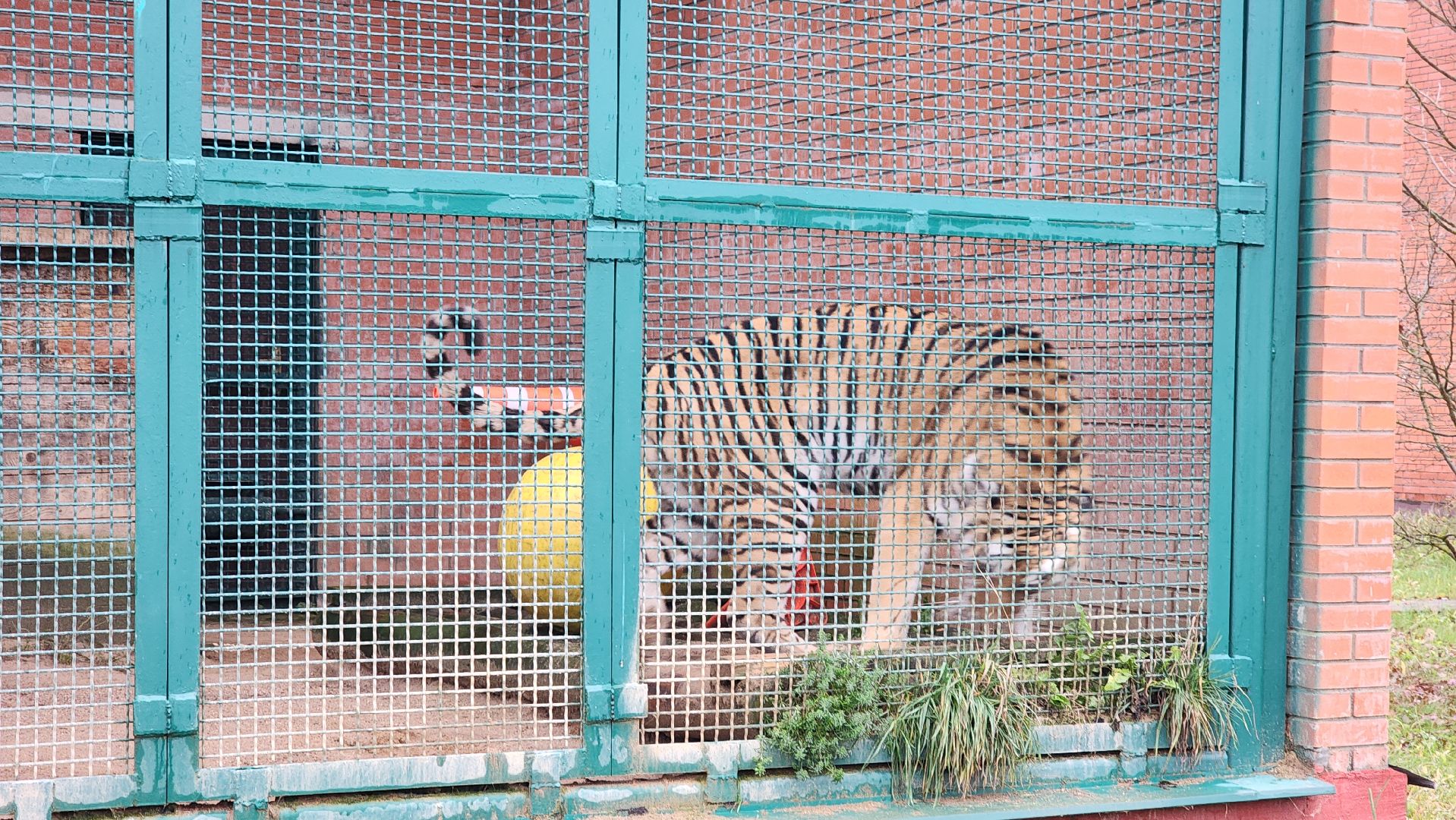 волоколамск, редкие виды животных, куда поехать,