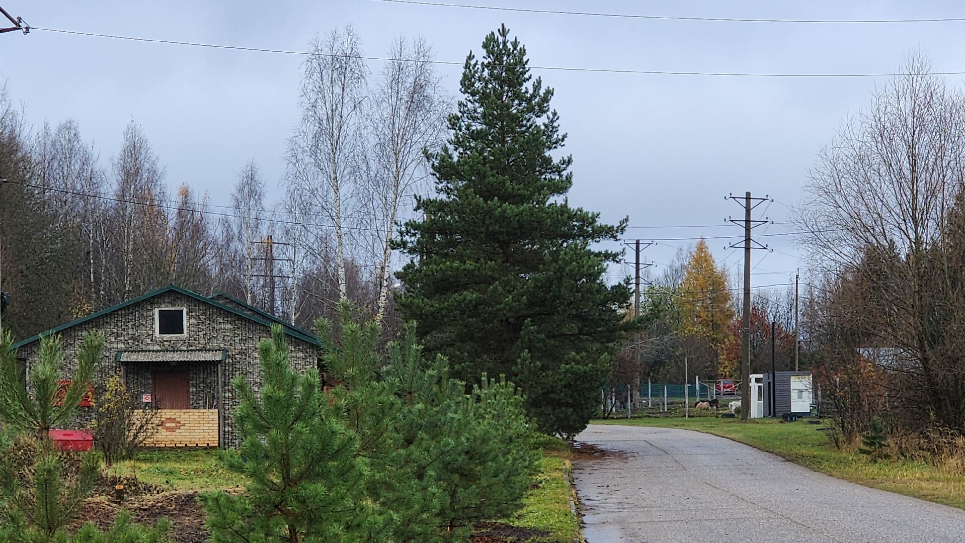 волоколамск, редкие виды животных, куда поехать,