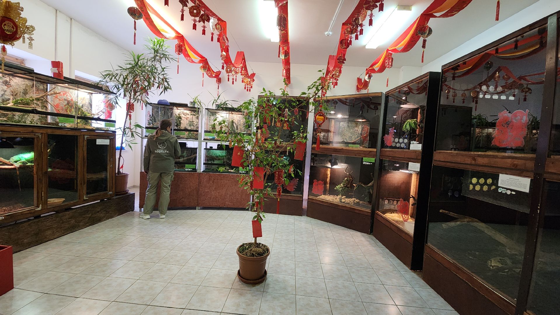 волоколамск, редкие виды животных, куда поехать,