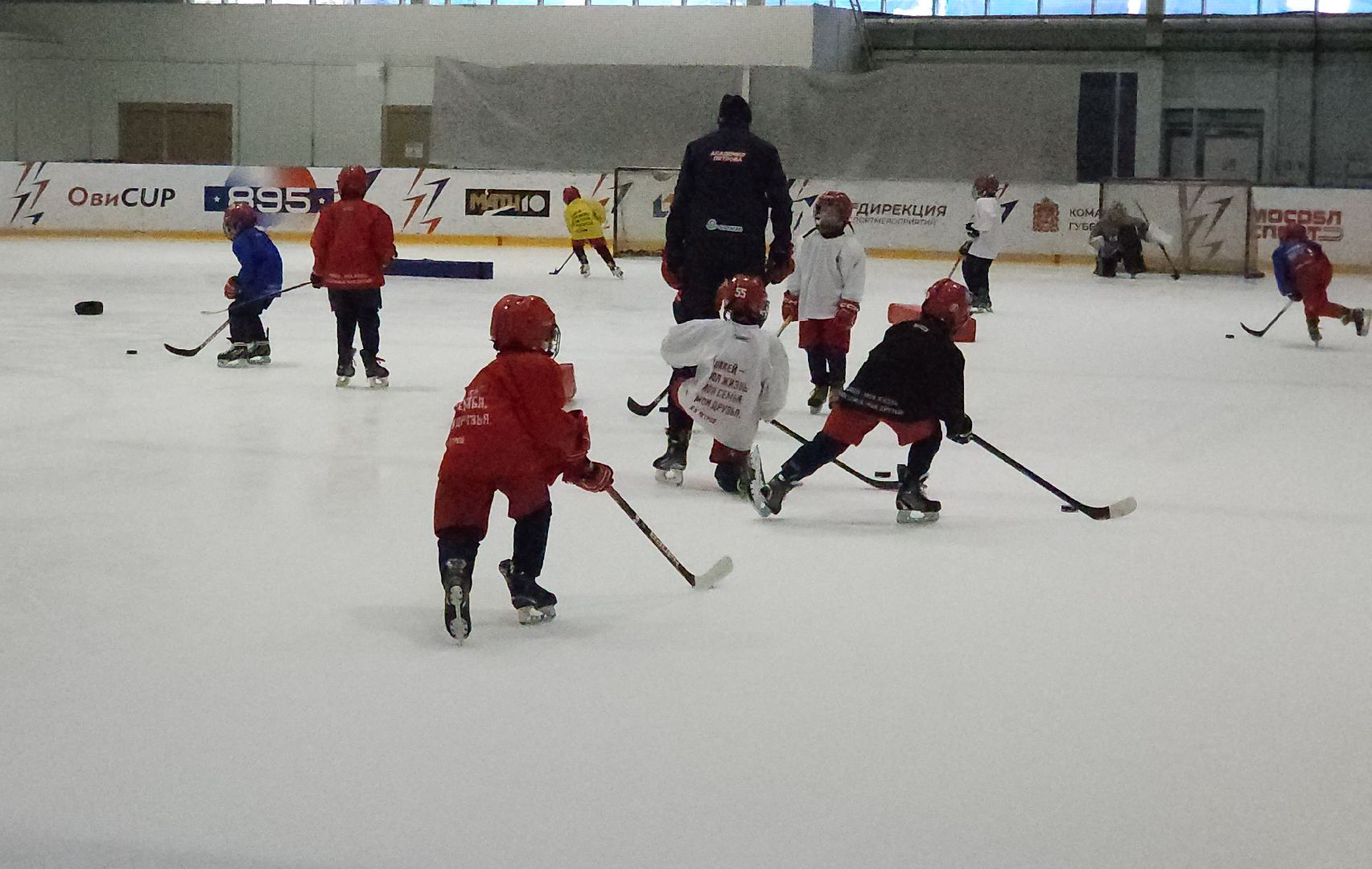 красногорск, тренер, хоккей, портрет,