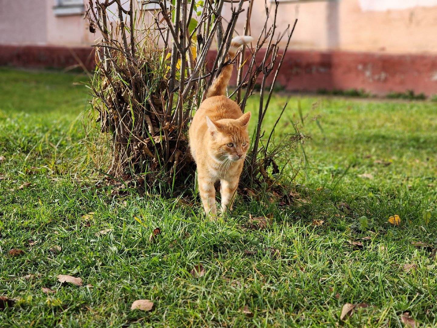аварийный дом, демонтаж аварийного дома, переселение из аварийного жилья, старая купавна, богородский городской округ,