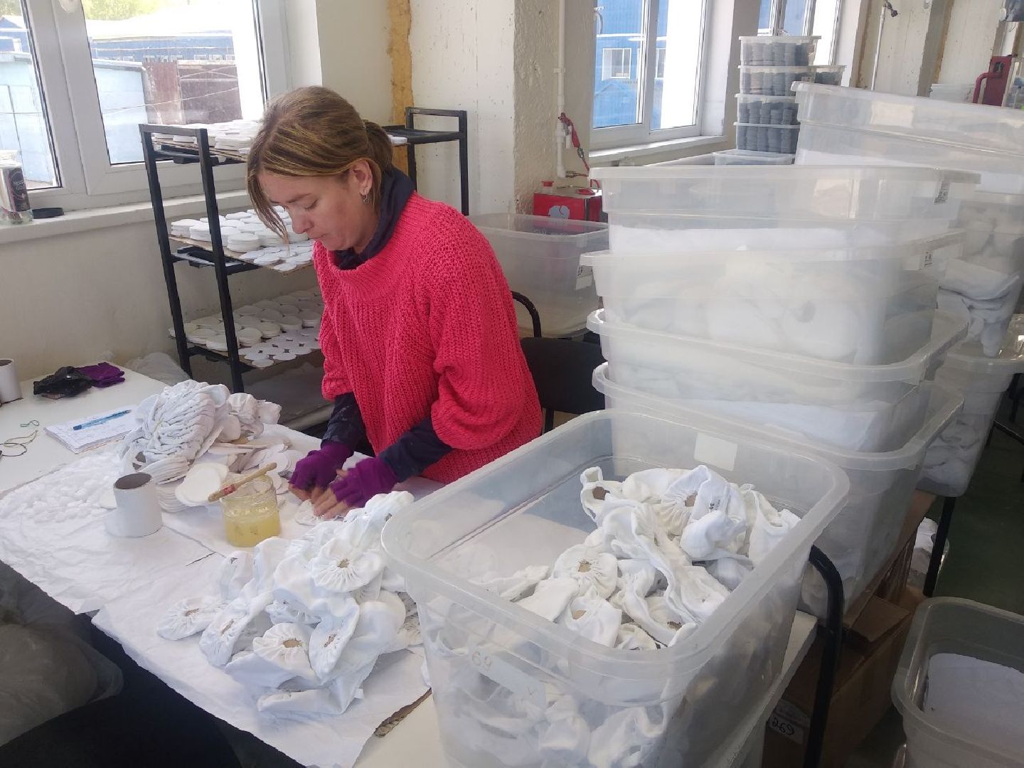 Дмитров, Мануфактура Малюгина, Мининвест МО