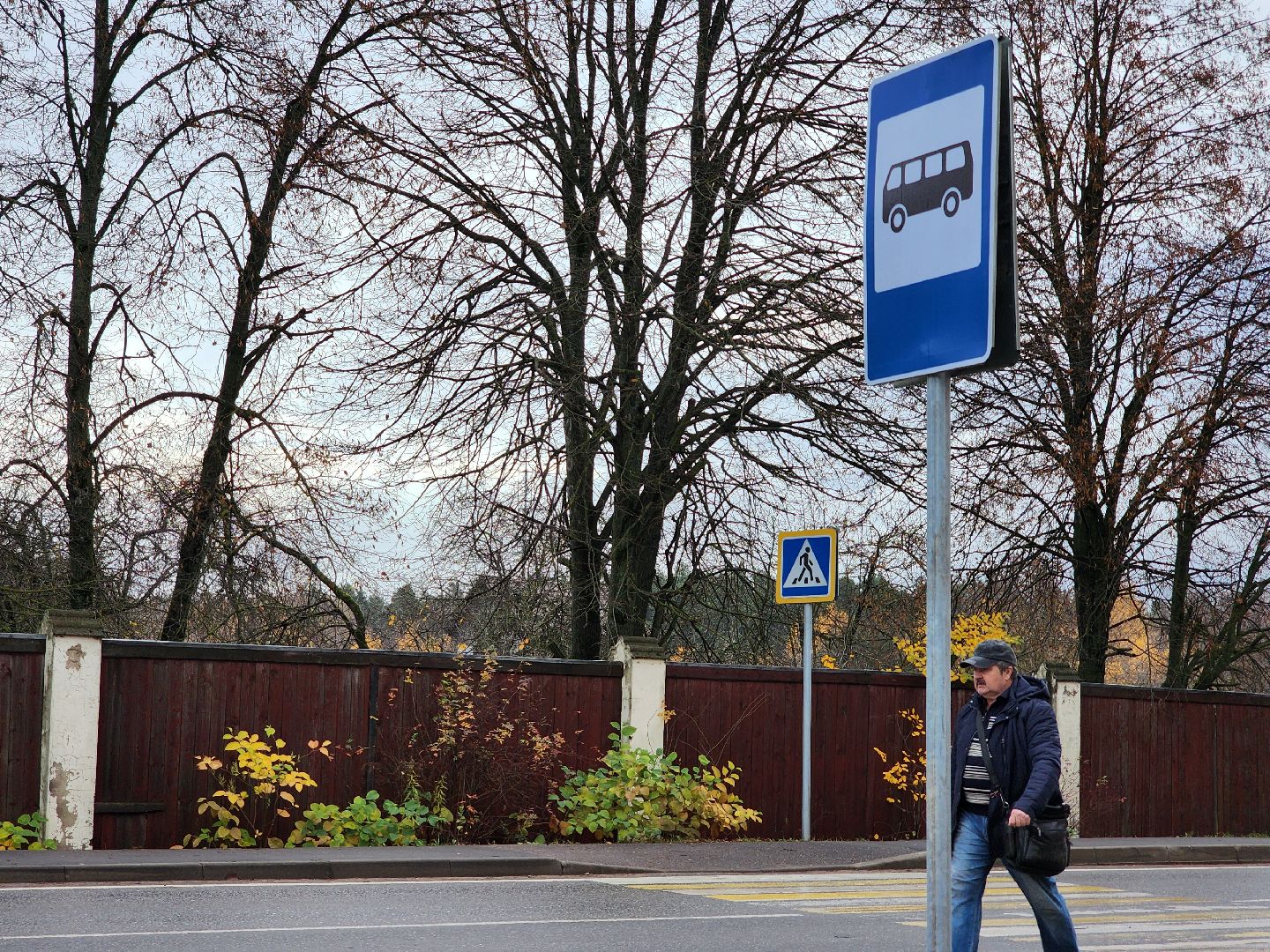 общественный транспорт, остановочный павильон,  автобусный павильон, деревня щемилово, богородский городской округ,