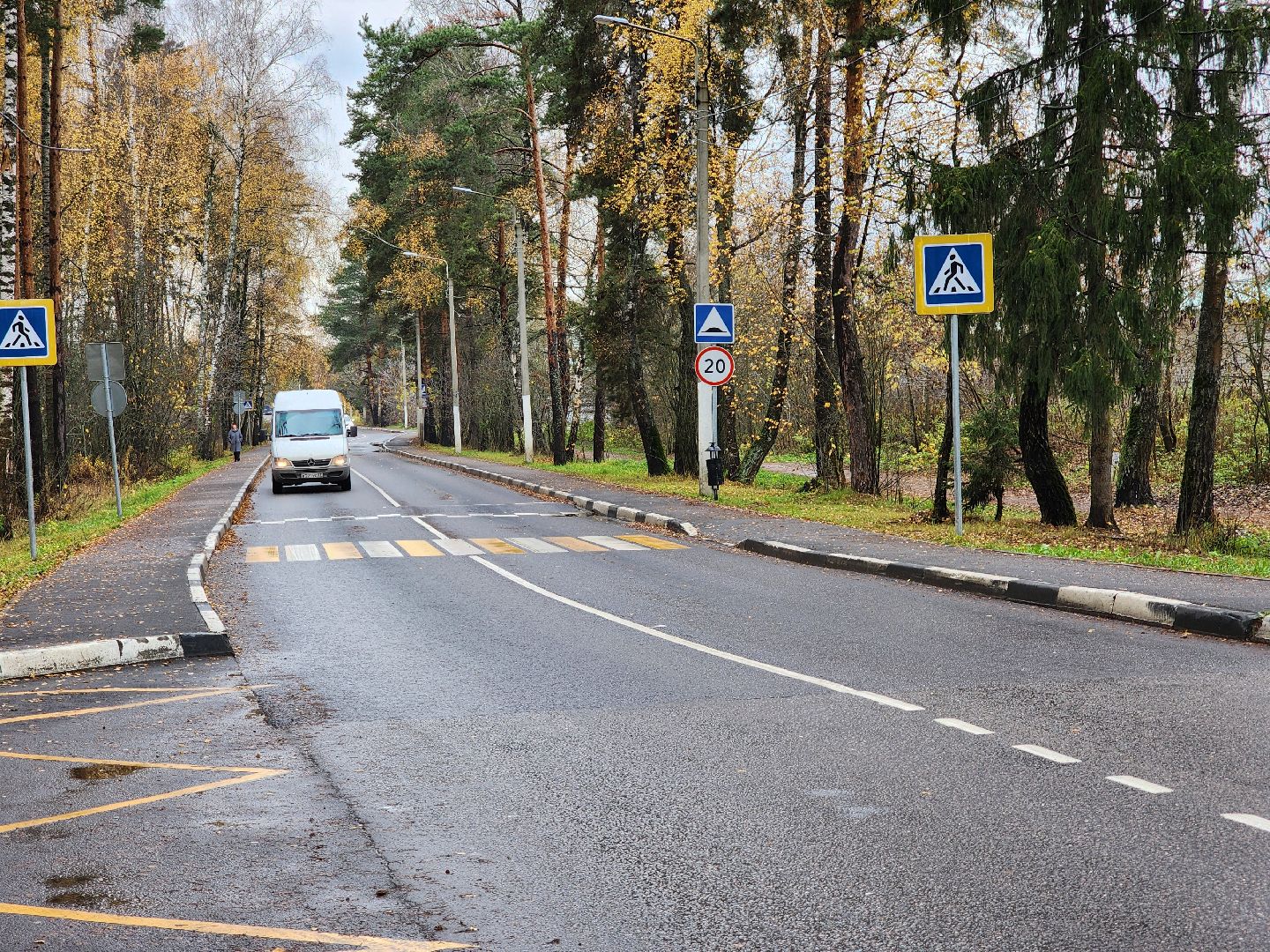 общественный транспорт, остановочный павильон,  автобусный павильон, деревня щемилово, богородский городской округ,
