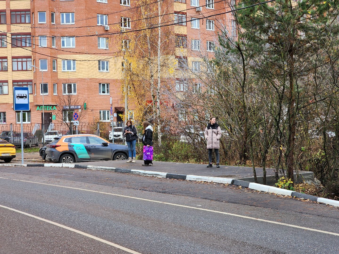 общественный транспорт, остановочный павильон,  автобусный павильон, деревня щемилово, богородский городской округ,