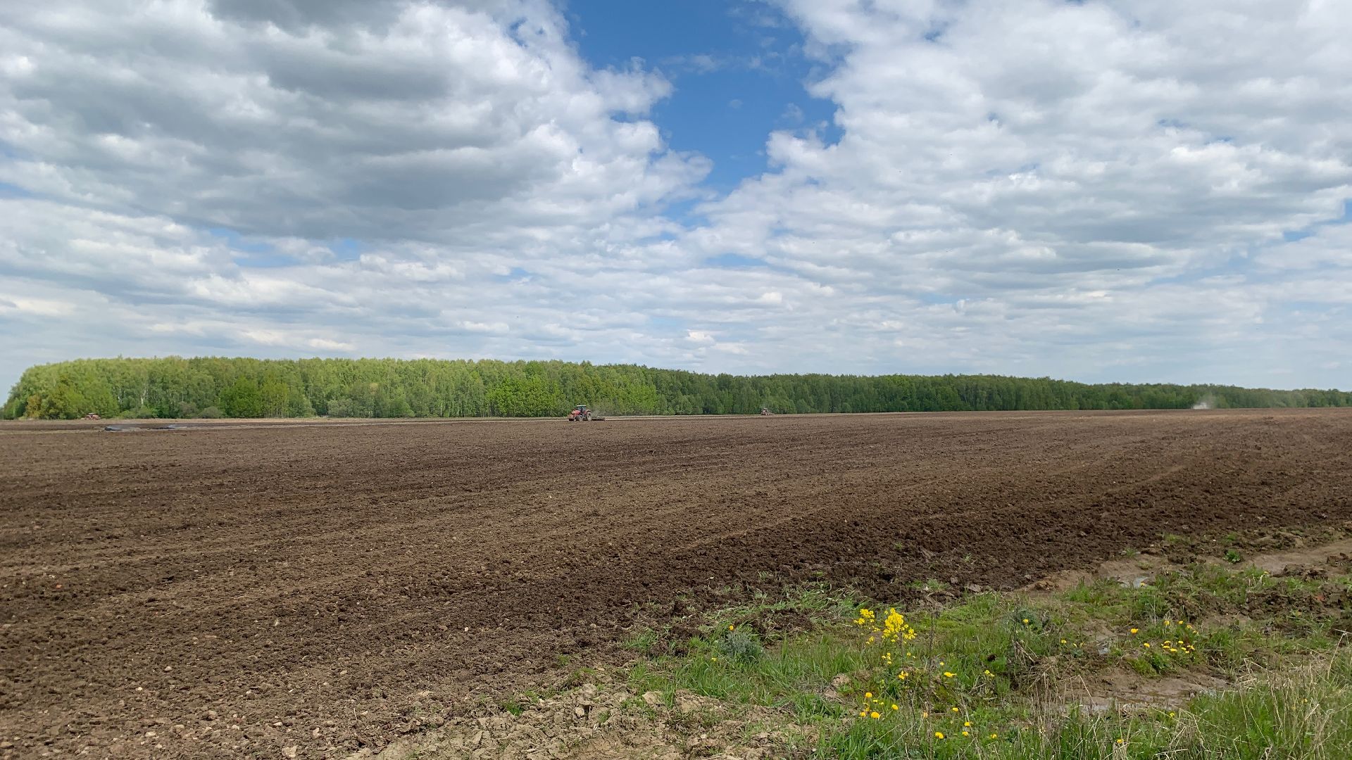 Ступино, сельское хозяйство, Эконива