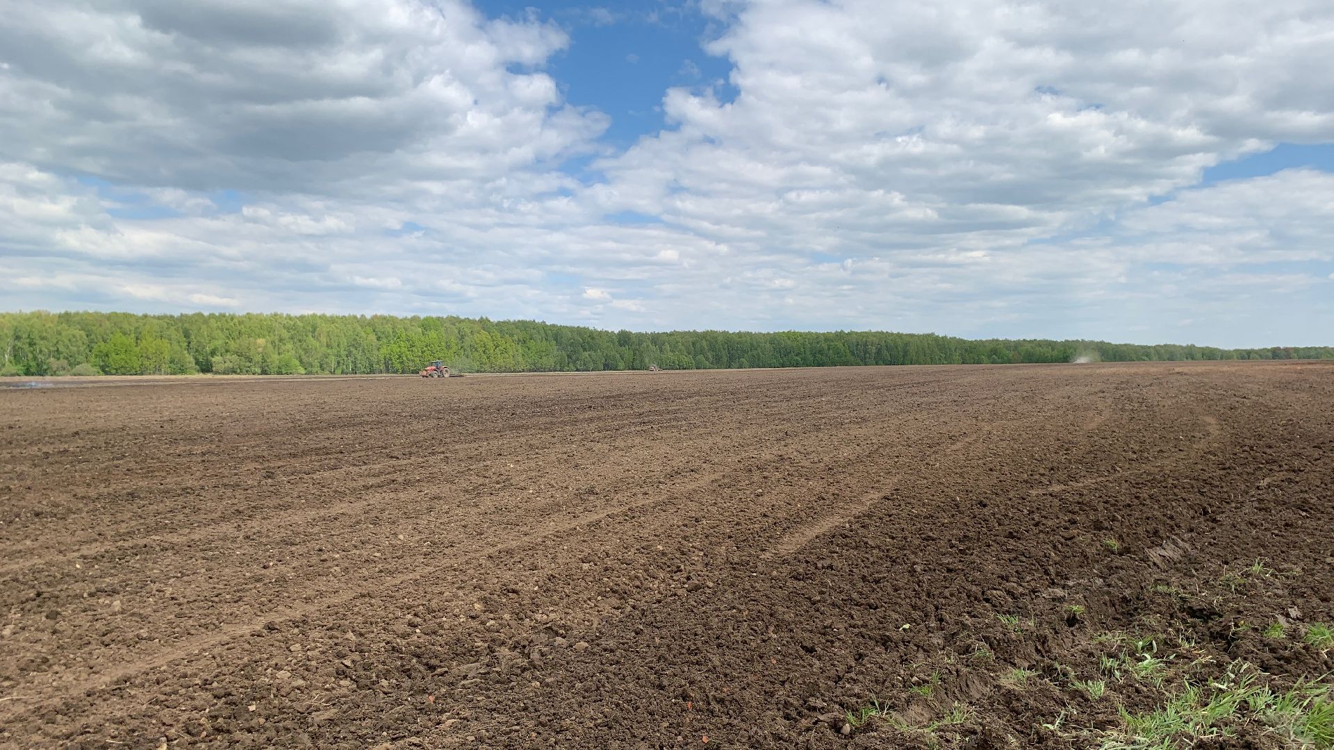 Ступино, сельское хозяйство, Эконива