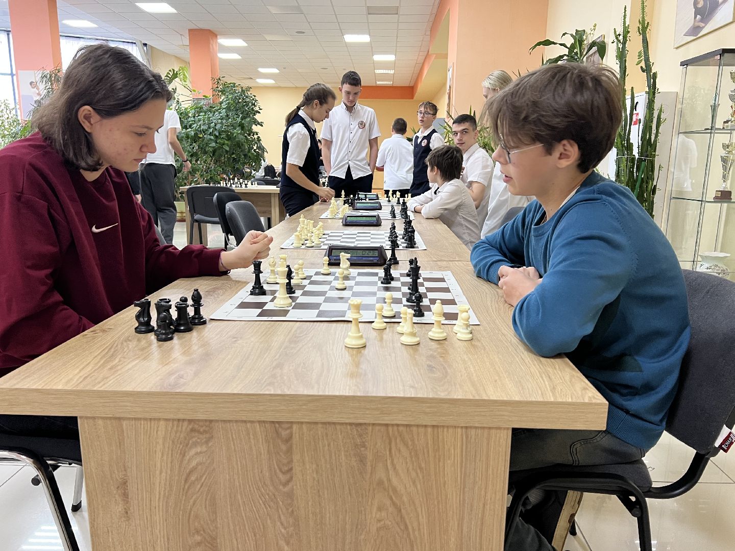 талдомский городской округ, Турнир по шахматам , Талдом,