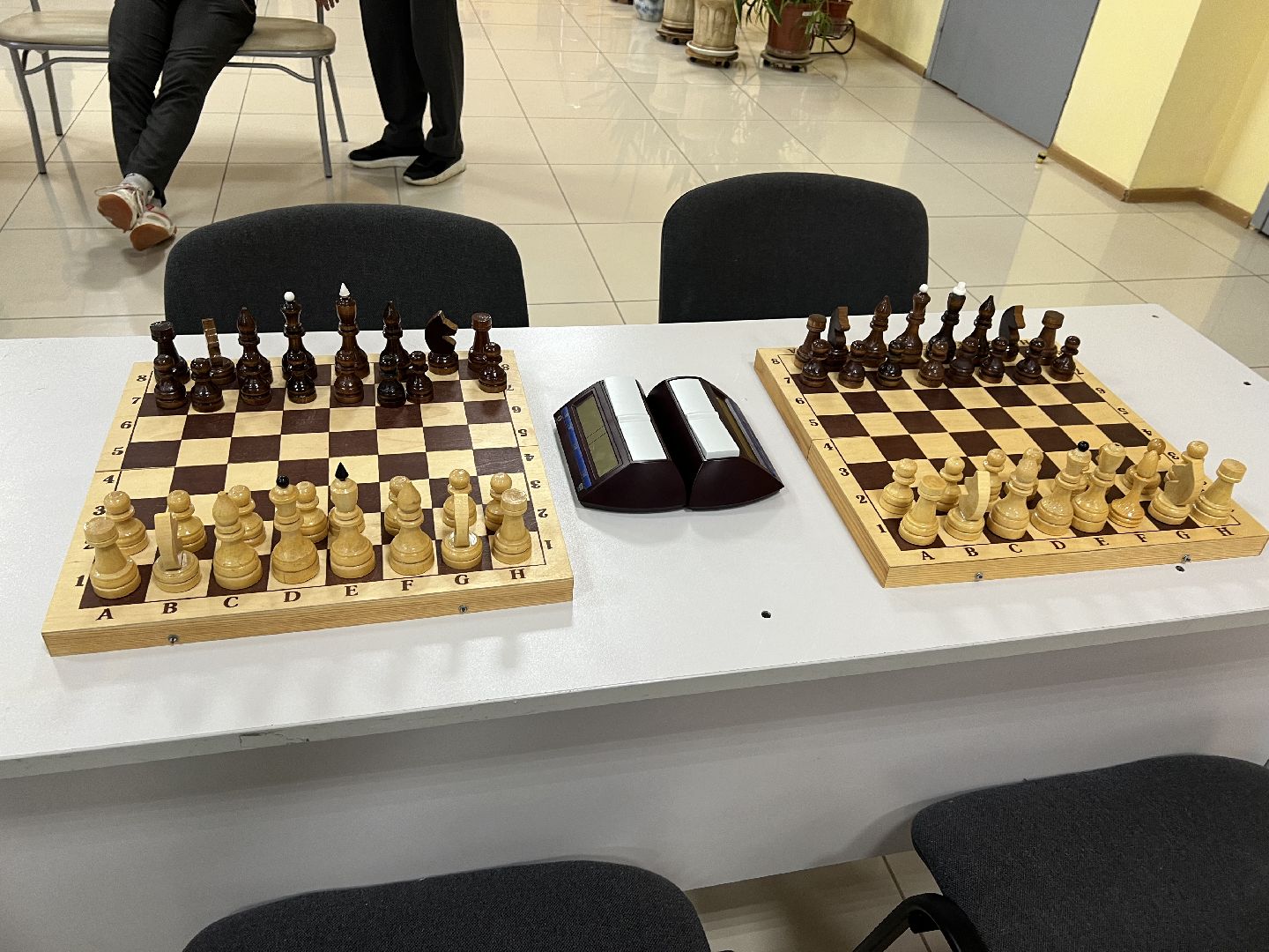 талдомский городской округ, Турнир по шахматам , Талдом,