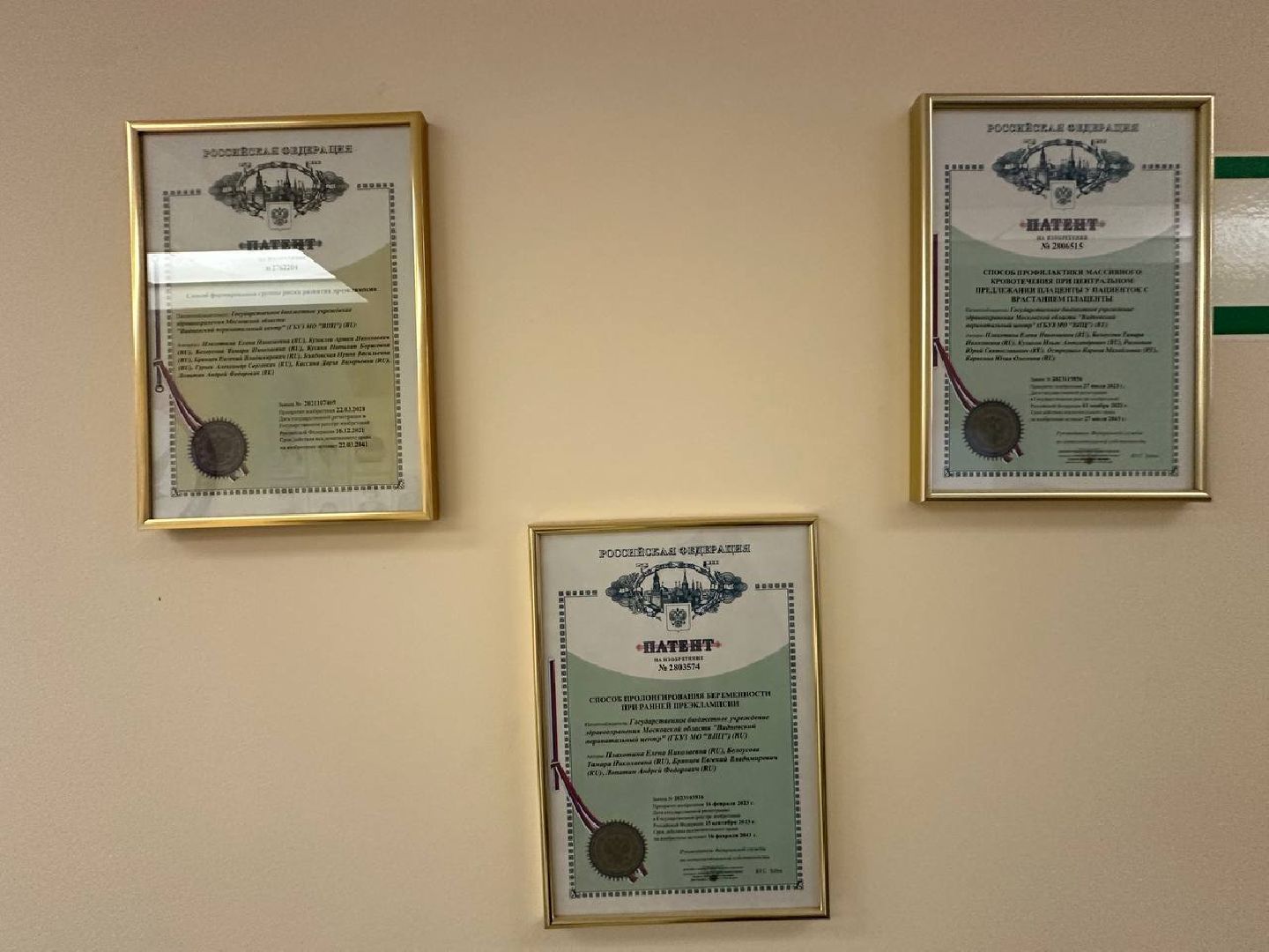 медицина, новорожденные, видное, ивл,