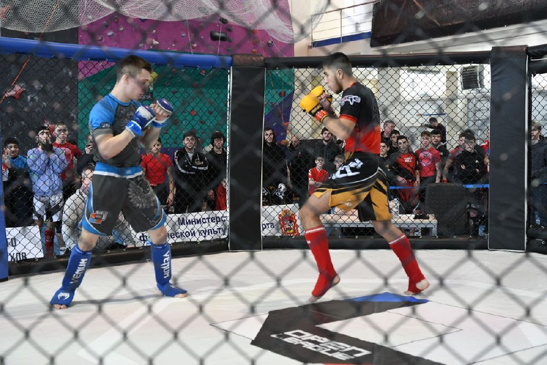 Спорт, Серпухов, ММА, соревнования