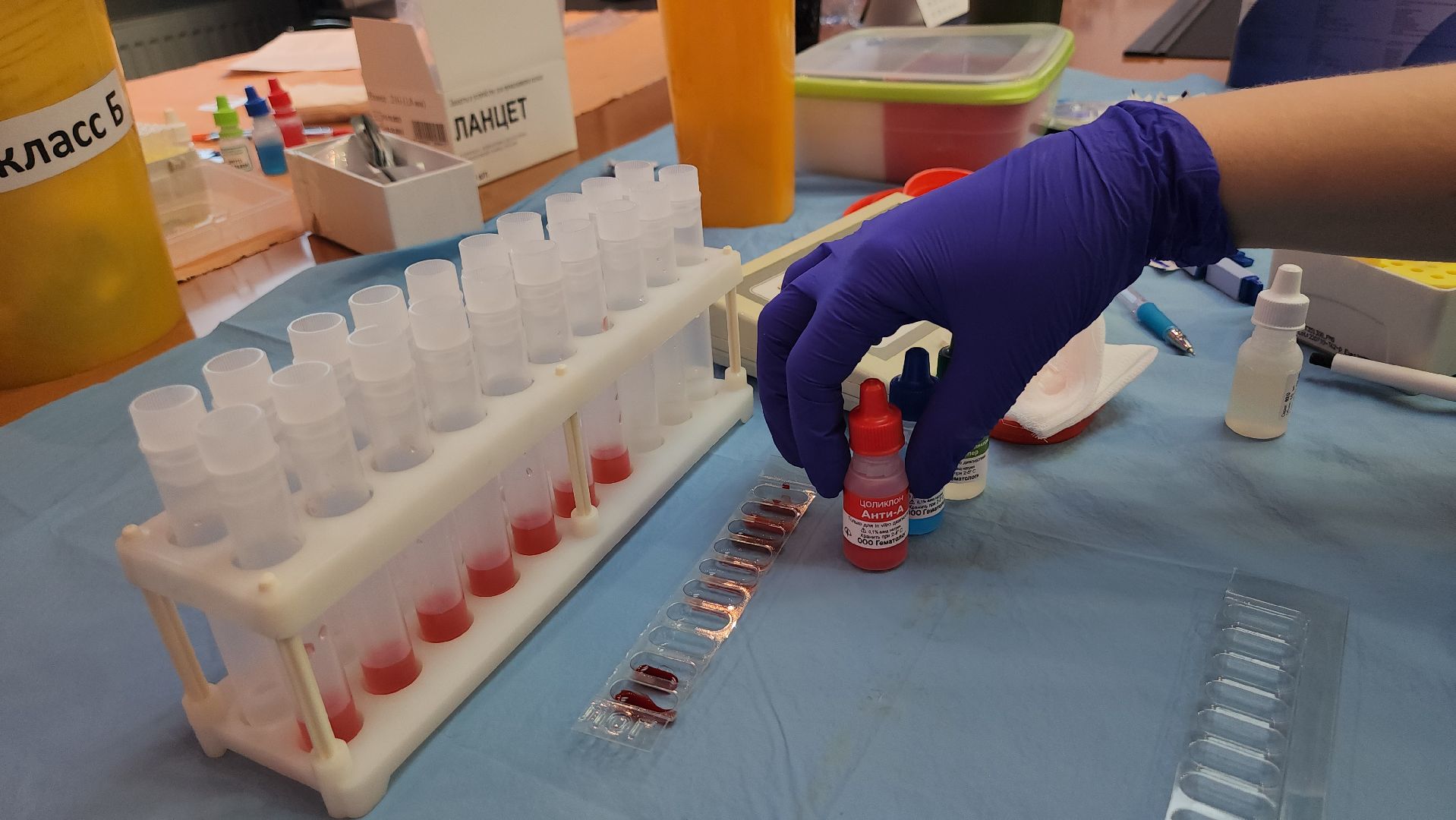 Люберцы, люберецкая  областная больница, доноры,