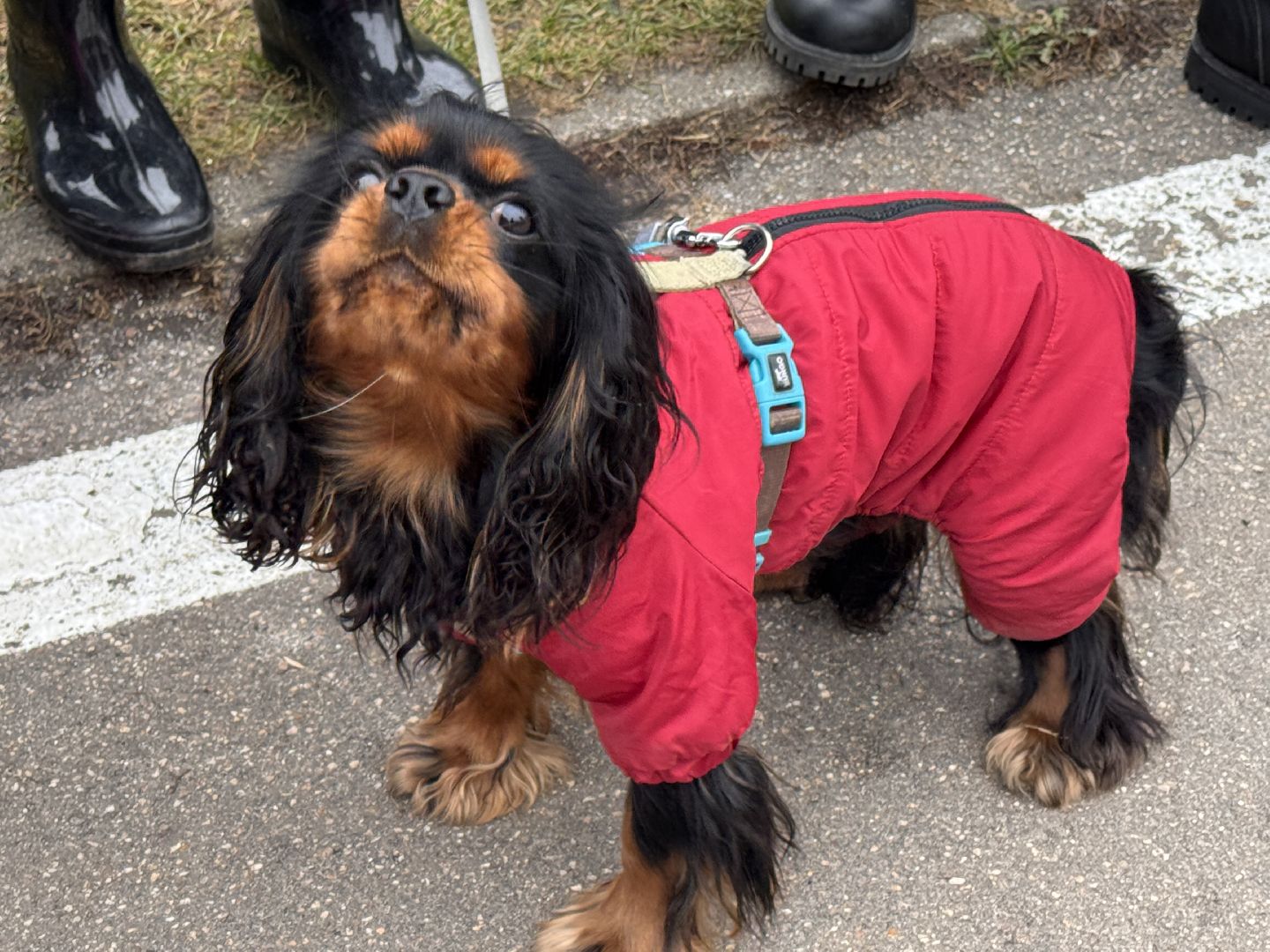 Одинцово, Экологический маршрут, Краеведческое общество,