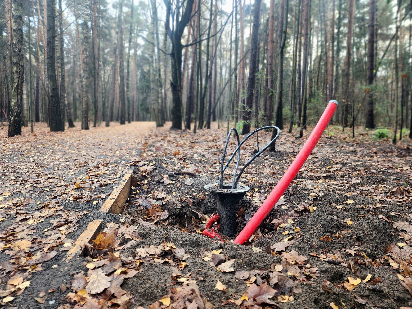 благоустройство, вишняковский парк, реконструкция парка, площадки, озеленение,