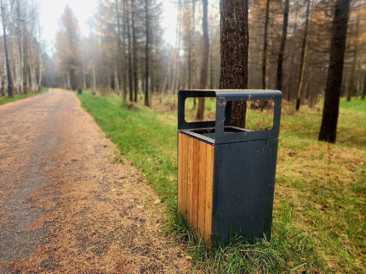 благоустройство, вишняковский парк, реконструкция парка, площадки, озеленение,