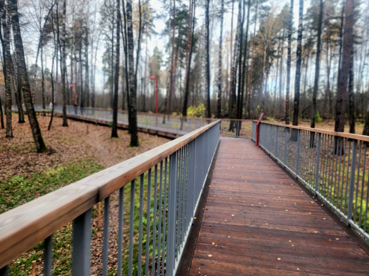 благоустройство, вишняковский парк, реконструкция парка, площадки, озеленение,