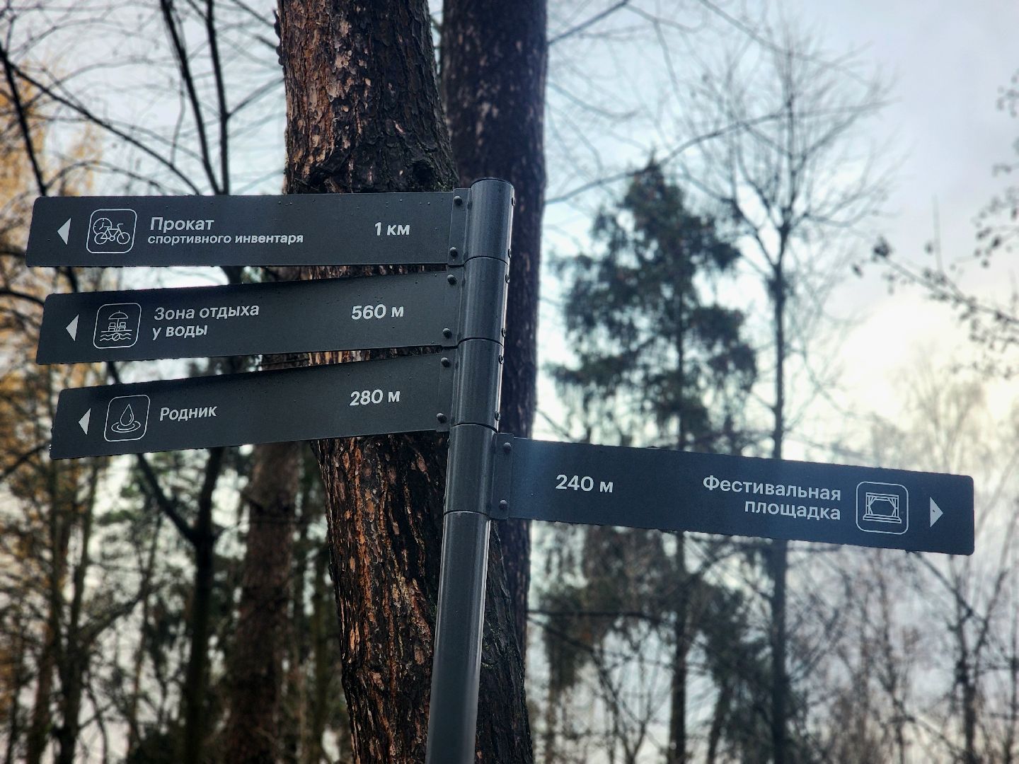 благоустройство, вишняковский парк, реконструкция парка, площадки, озеленение,