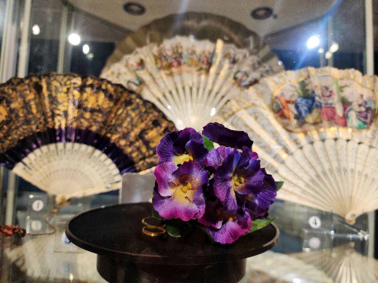 выставка, веер, мода, экспозиция, краеведческий музей,