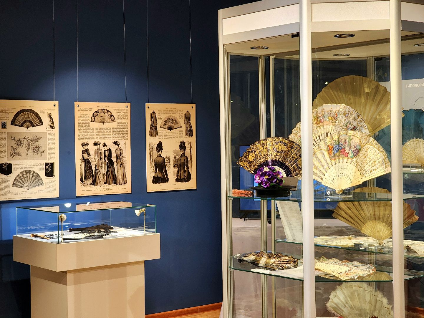 выставка, веер, мода, экспозиция, краеведческий музей,