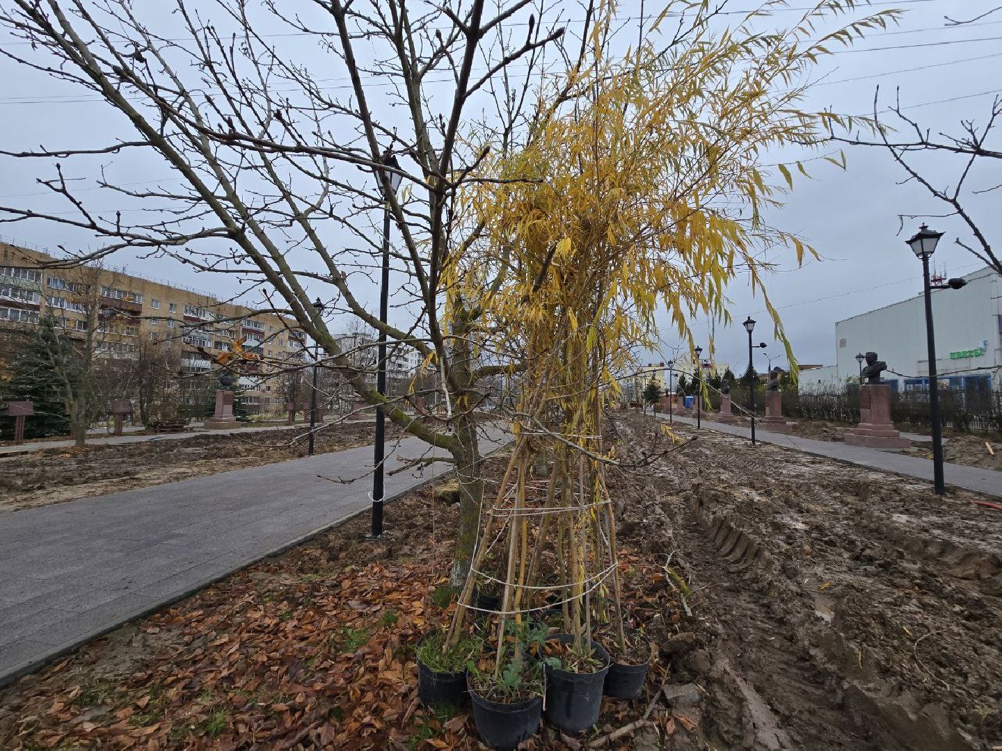 можайск, можайский муниципальный округ, подмосковье, благоустройство, аллея героев, нацпроект, инфраструктура для жизни, формирование комфортной городской среды,