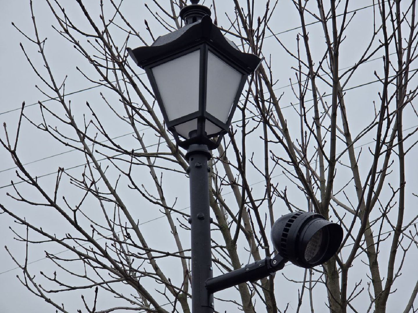 можайск, можайский муниципальный округ, подмосковье, благоустройство, аллея героев, нацпроект, инфраструктура для жизни, формирование комфортной городской среды,