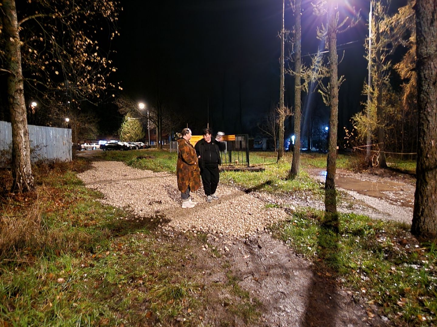 чехов, деревня алексеевка, военный городок чехов-7, выездная администрация, встреча с жителями, обращения граждан, благоустройство, ремонт тротуара, ремонт пешеходной дорожки, замена покрытия, содержание двора, покос травы, уборка придомовой территории, детская площадка, ремонт качелей и горки, мбу чеховское благоустройство, начальник управления благоустройства, александр тетерин, жительница деревни, екатерина кузьмина,