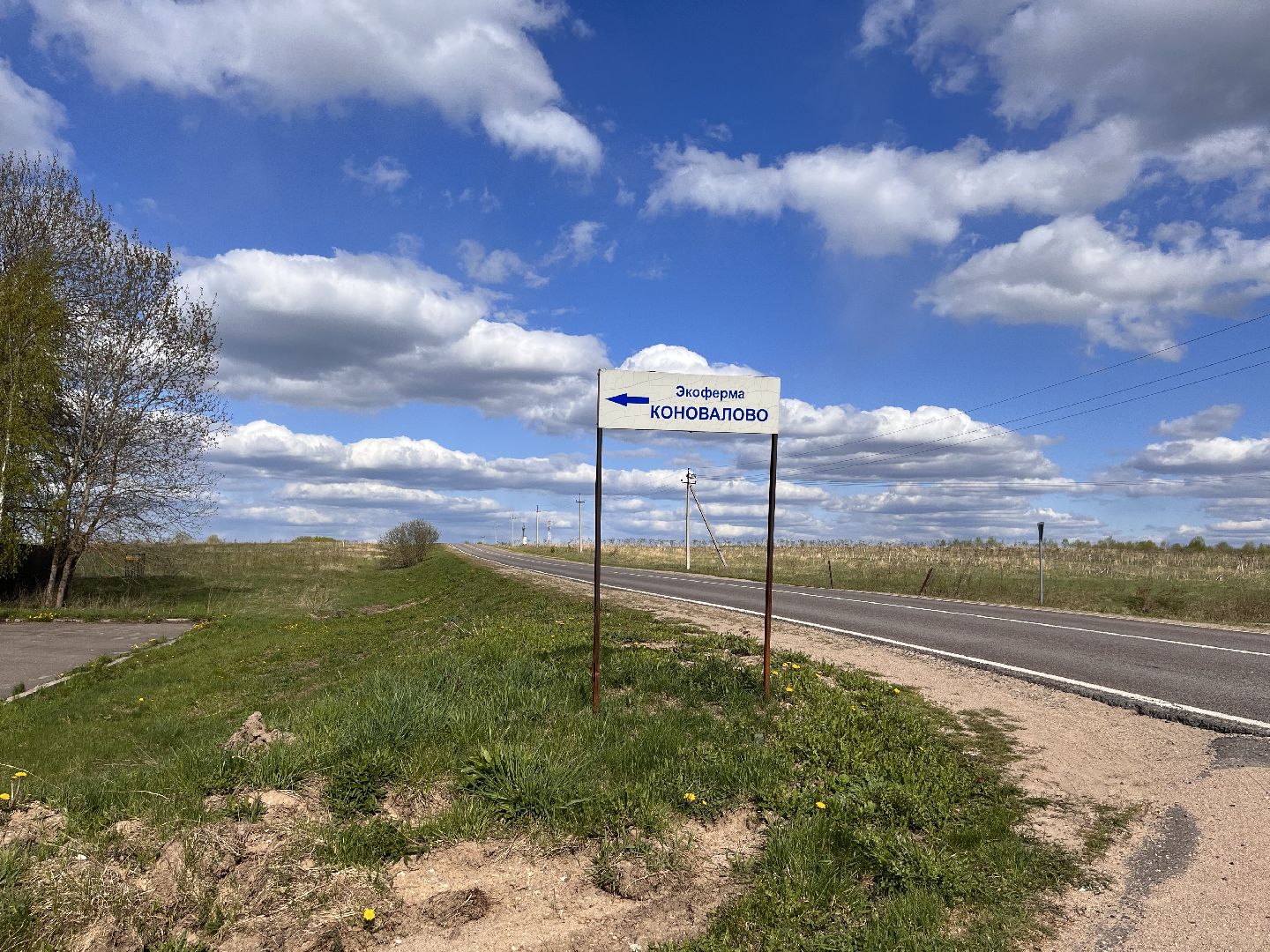 Шаховская, школа, экоферма