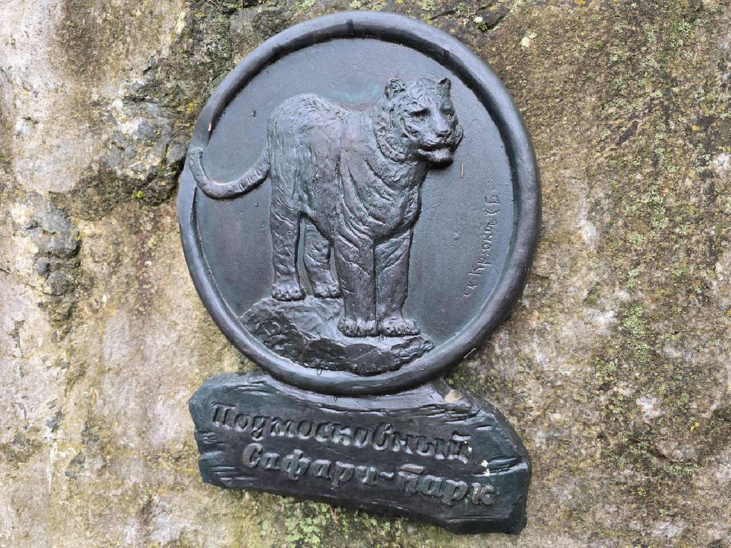 можайск, можайский муниципальный округ, подмосковье, туризм, парк тигров,  подмосковный сафари-парк, тигры, дикие кошки, туристы,хищники,