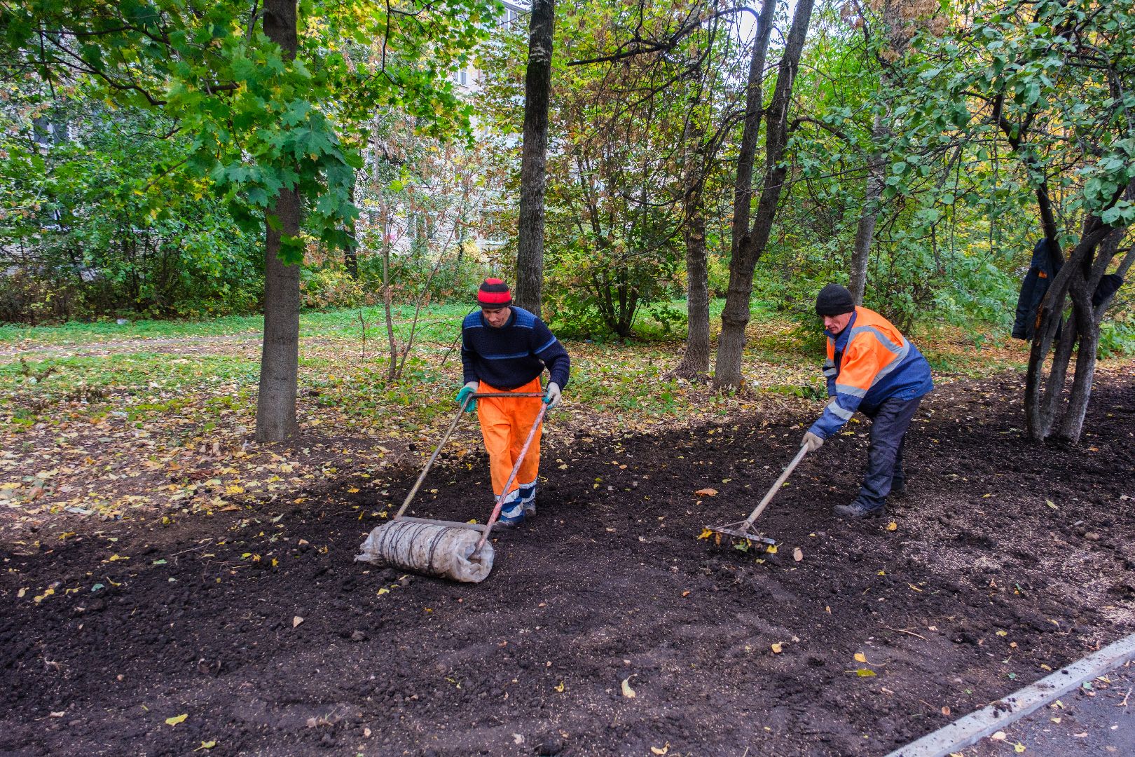 выездная администрация, общество, лыткарино,